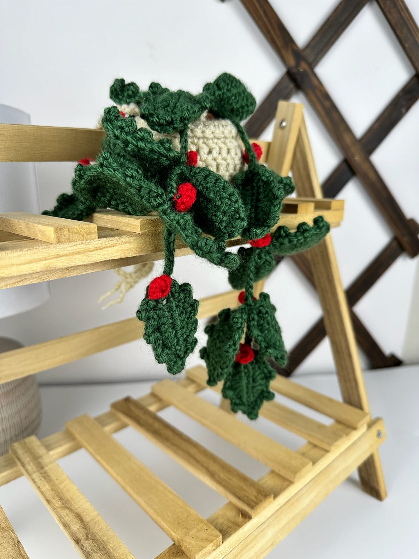 Holly Plant