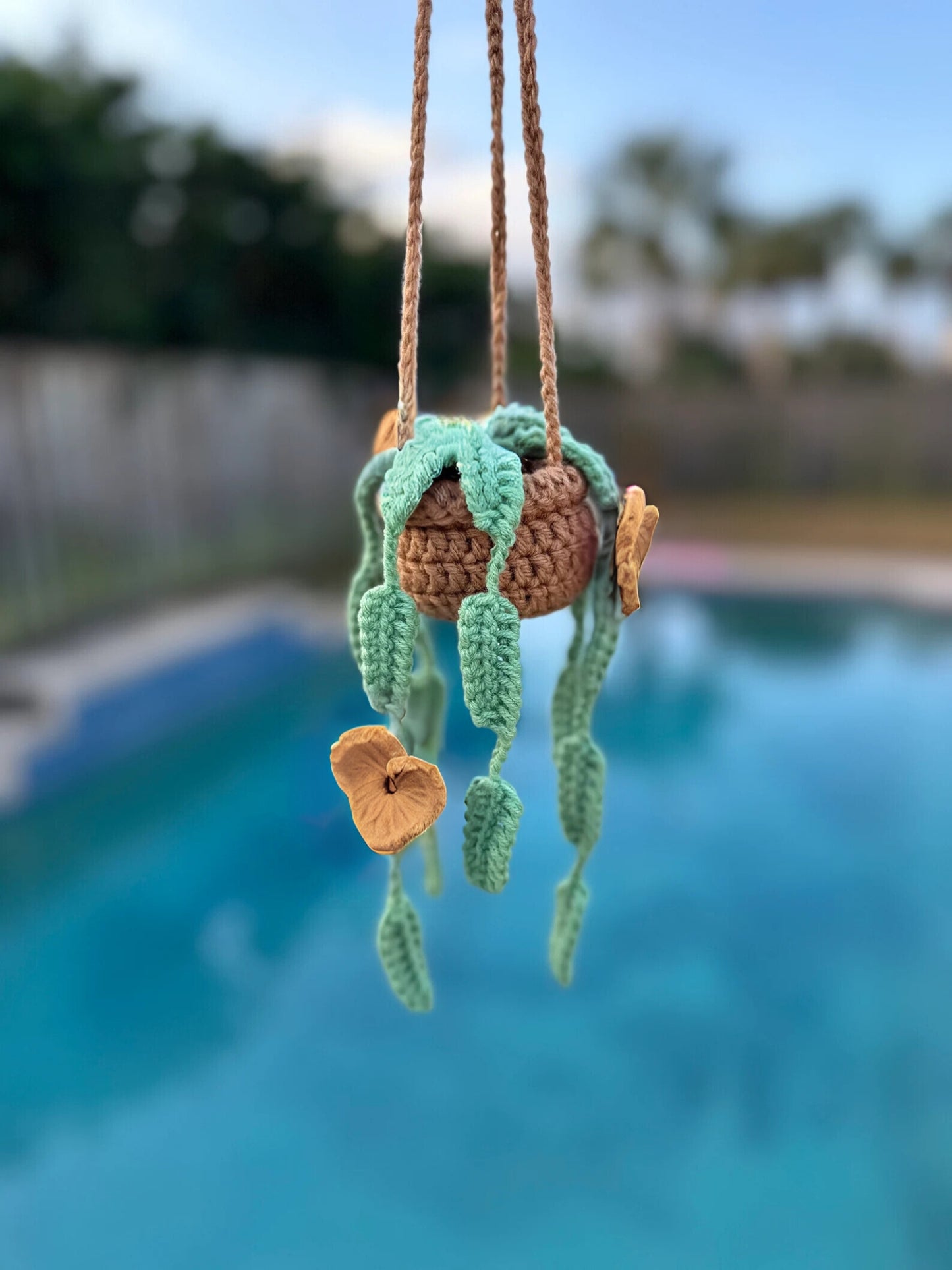 Hanging Hearts