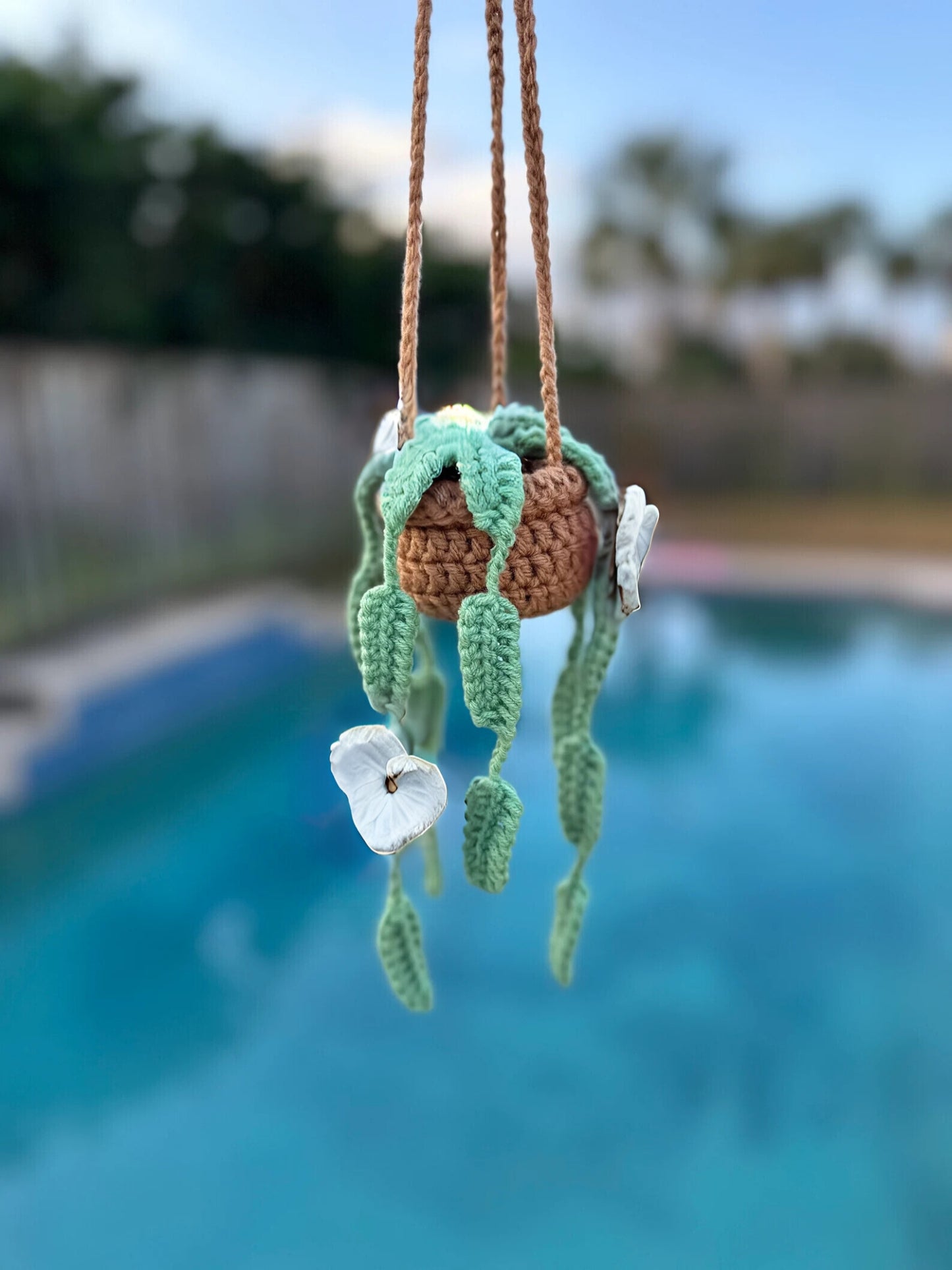 Hanging Hearts