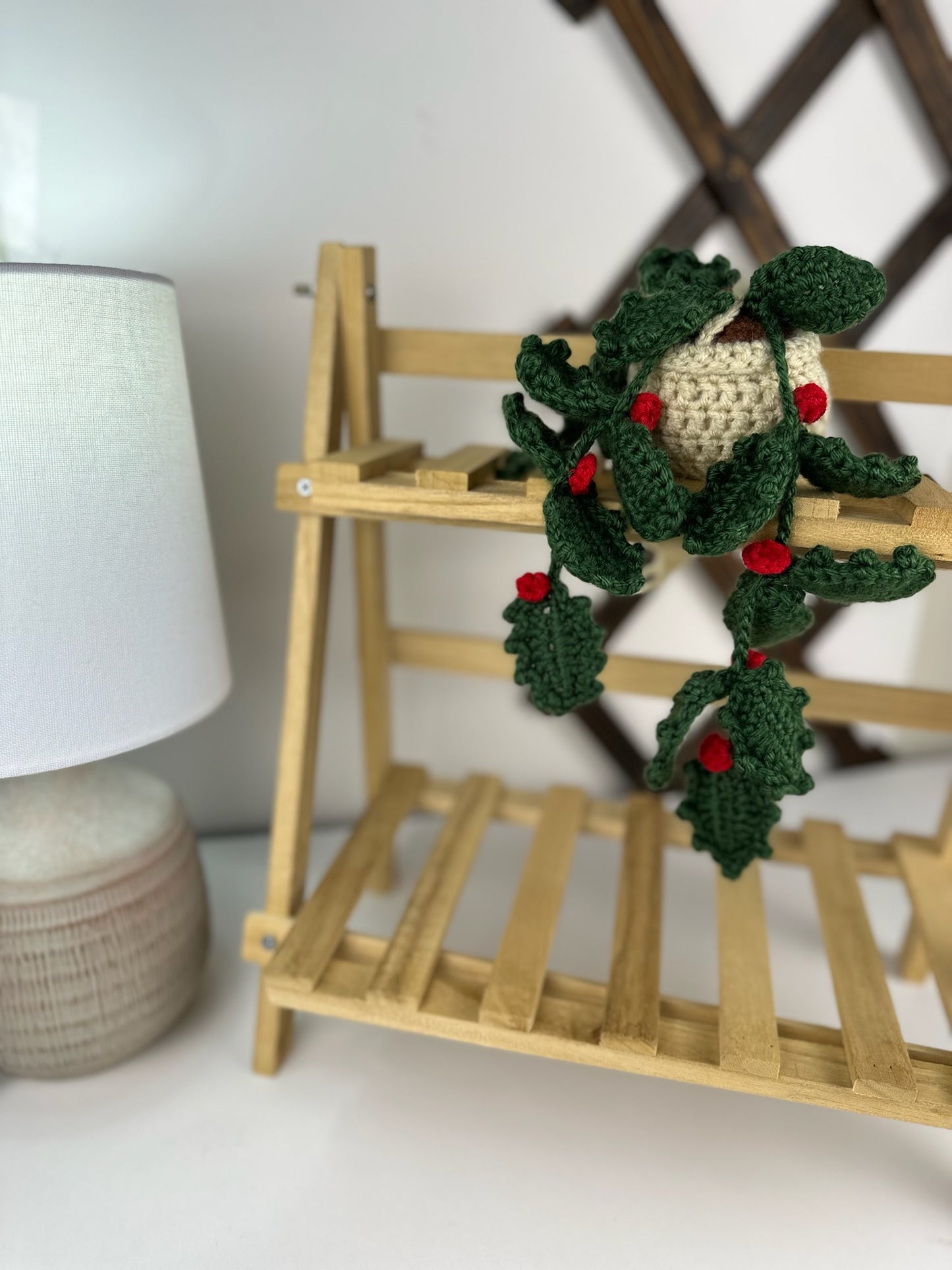 Holly Plant