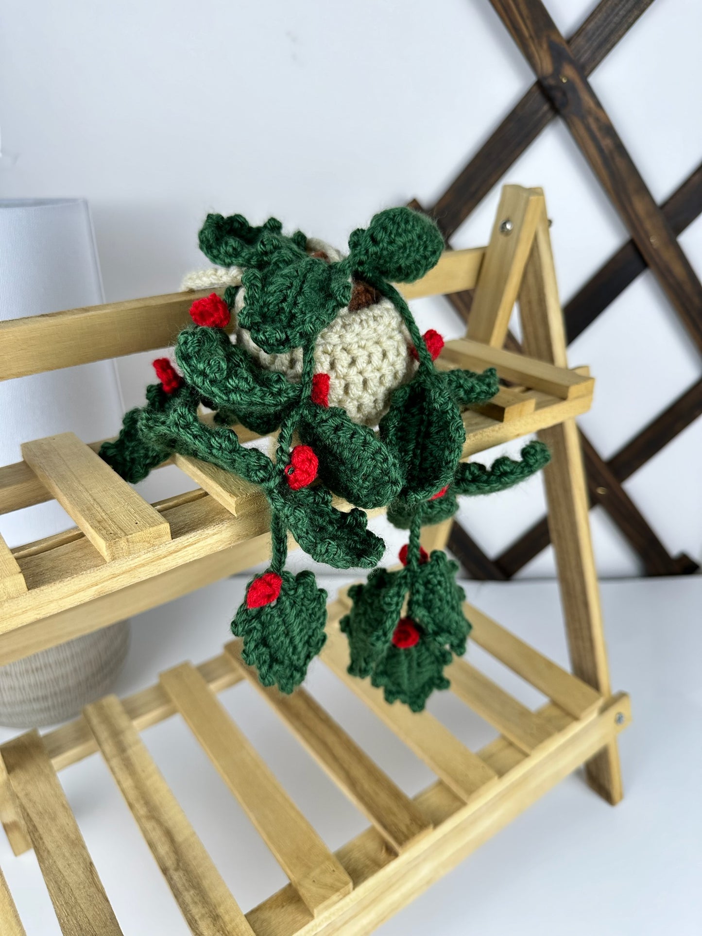 Holly Plant