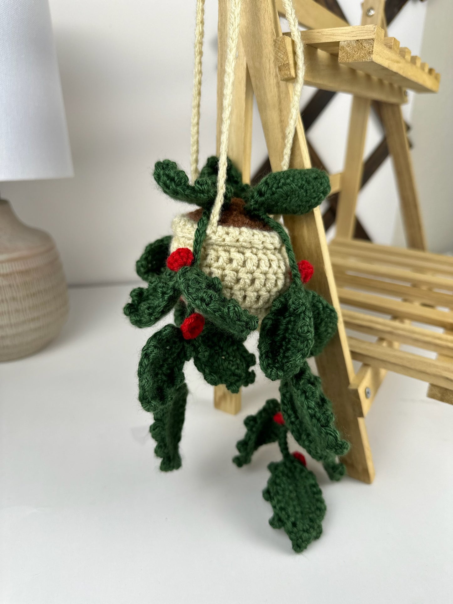 Holly Plant