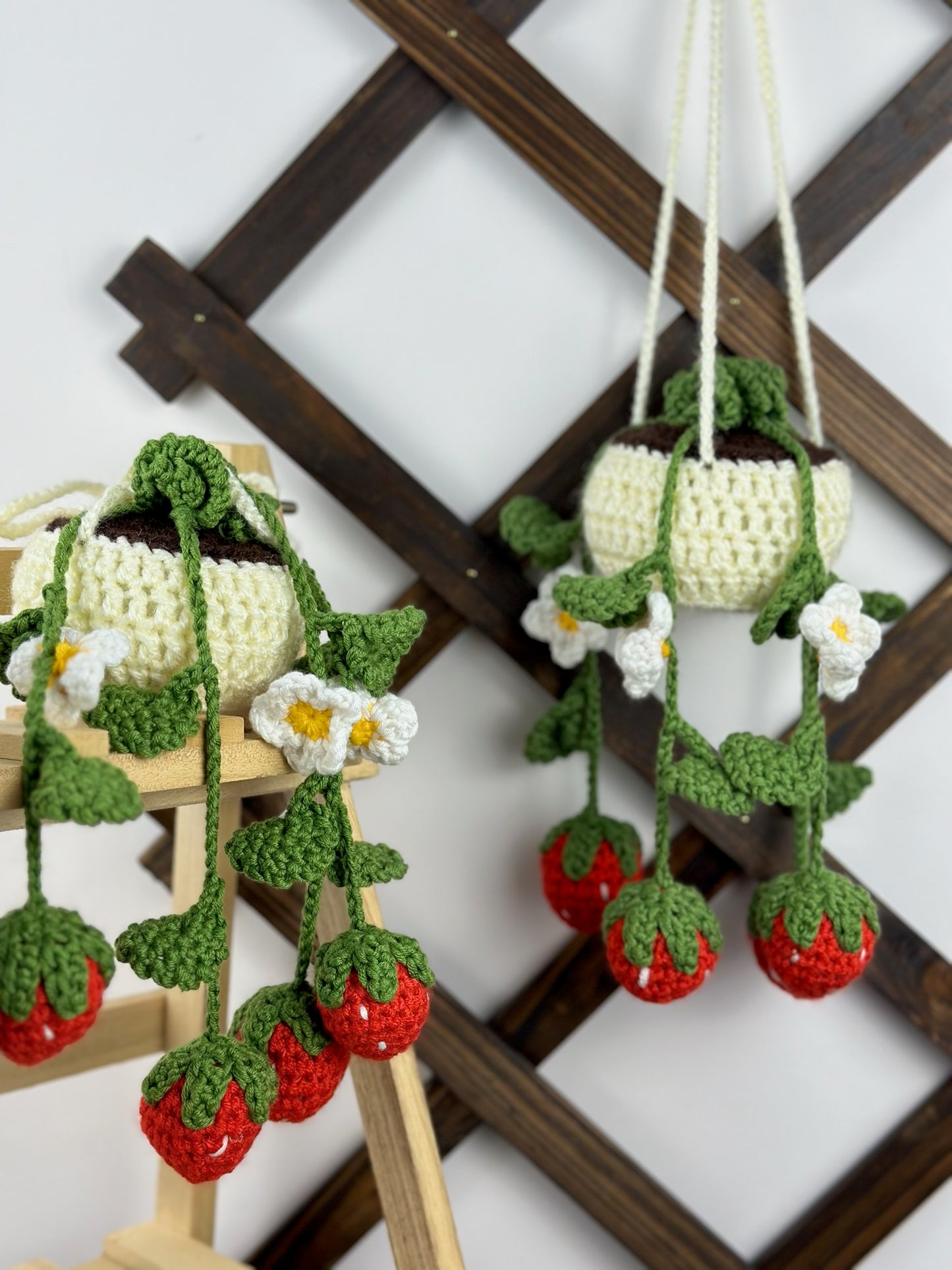 Strawberry Plant