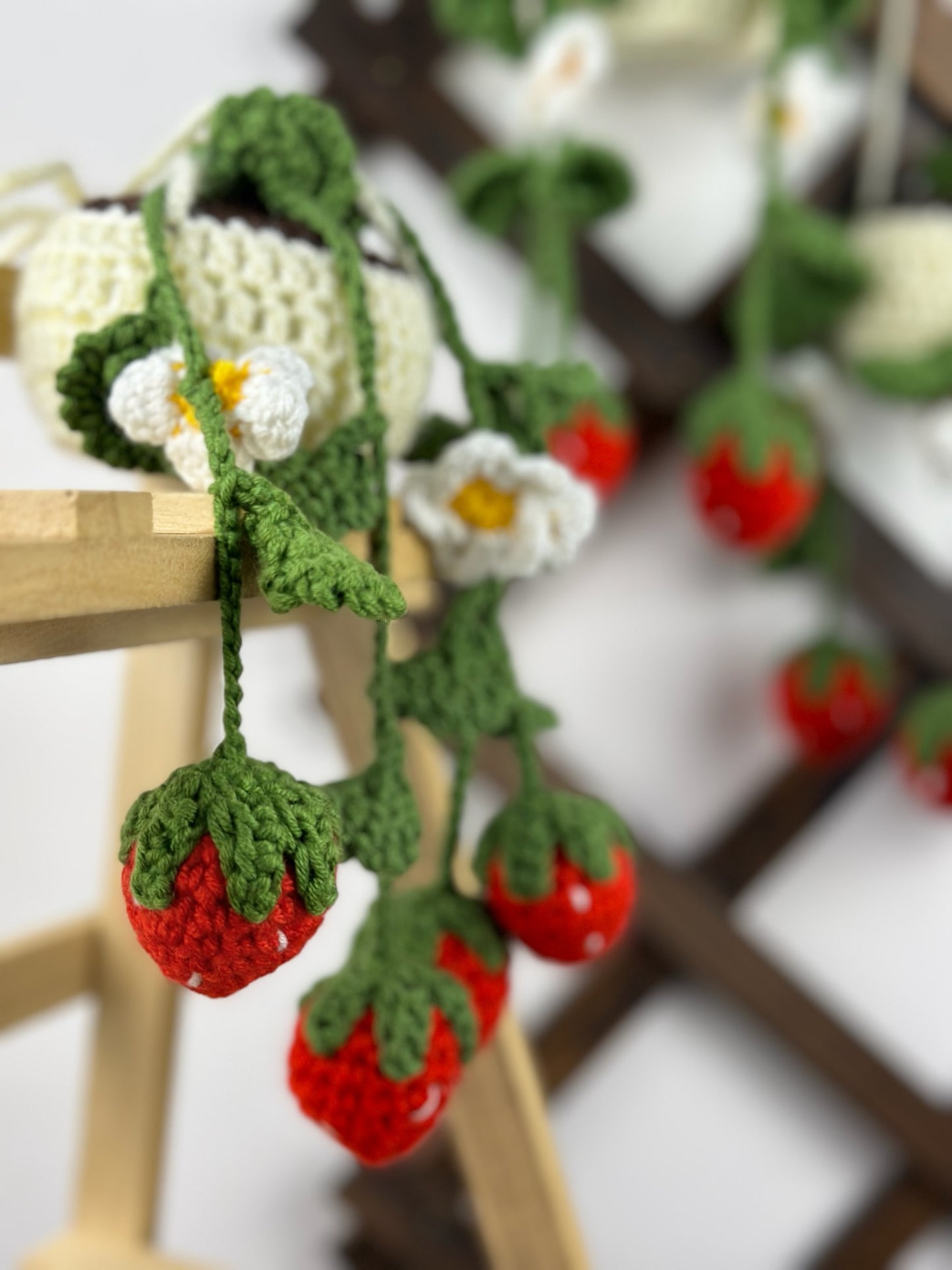Strawberry Plant