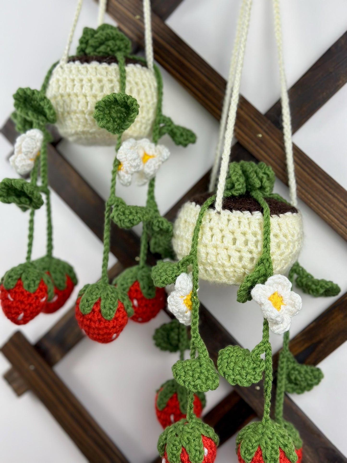 Strawberry Plant