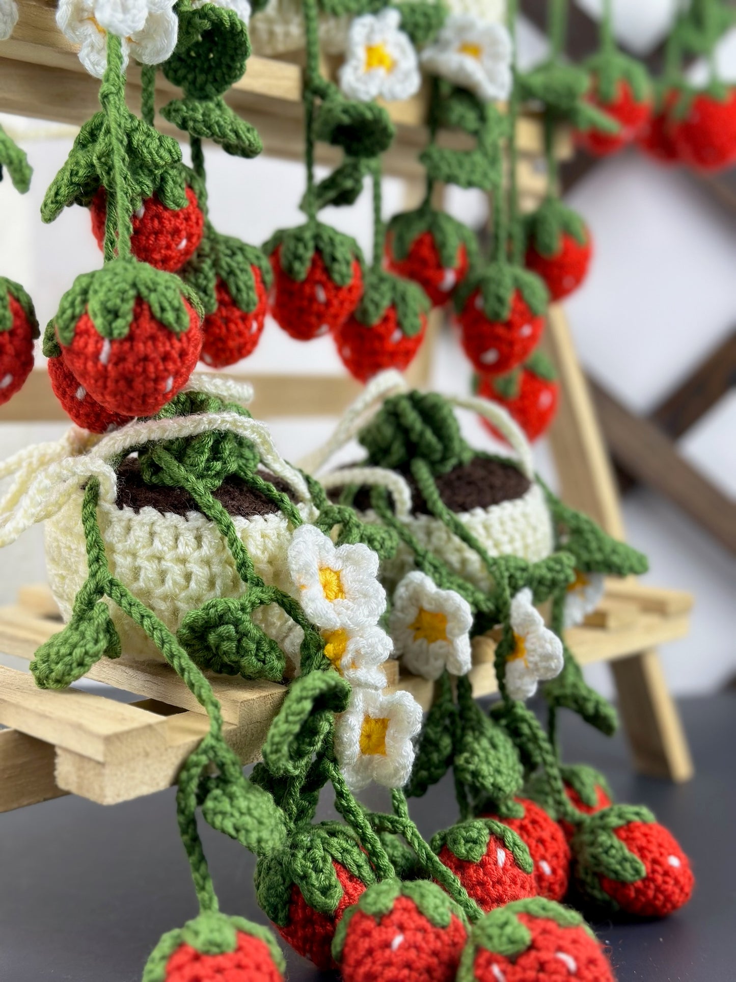 Strawberry Plant