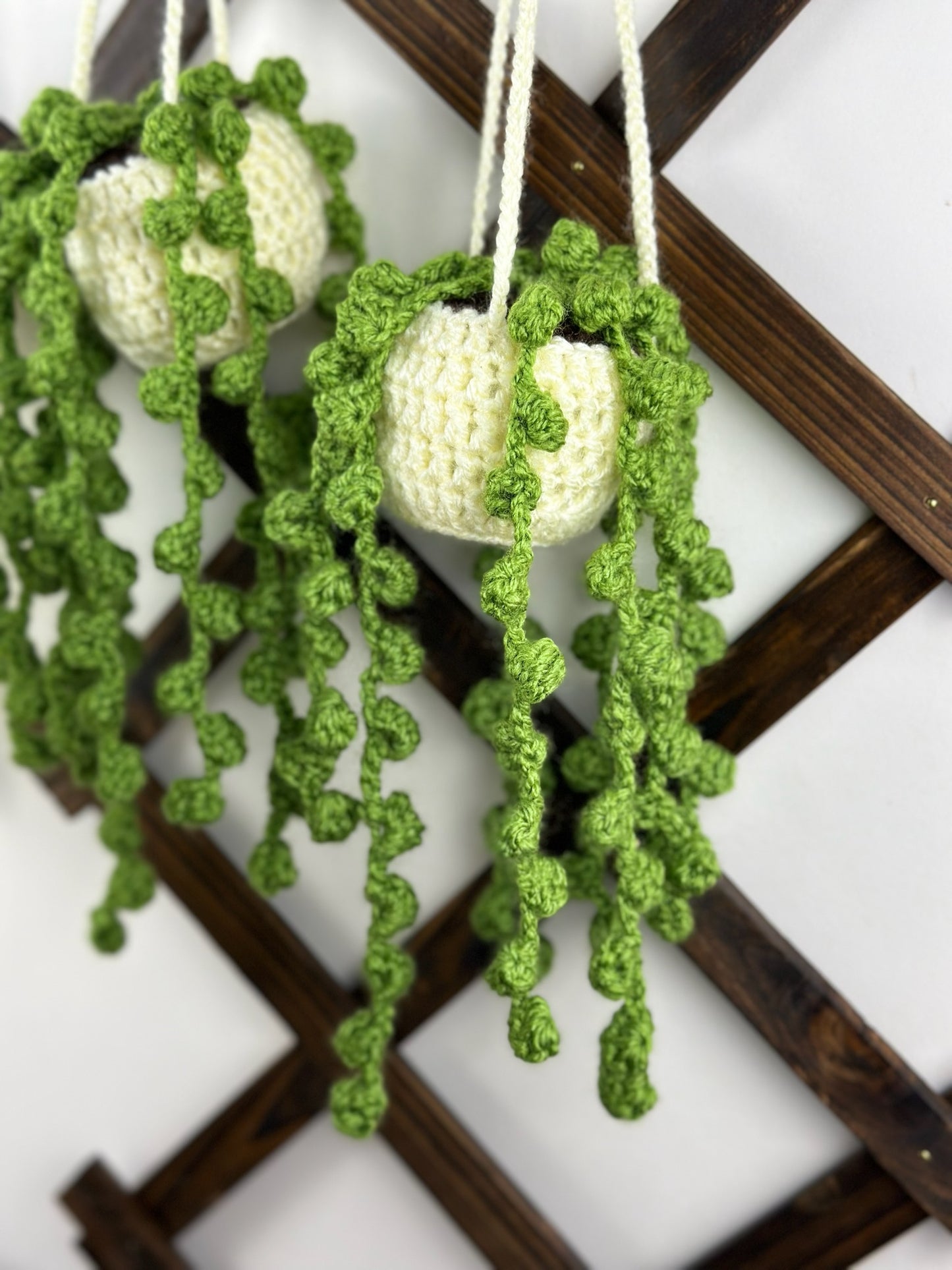 String of Pearls