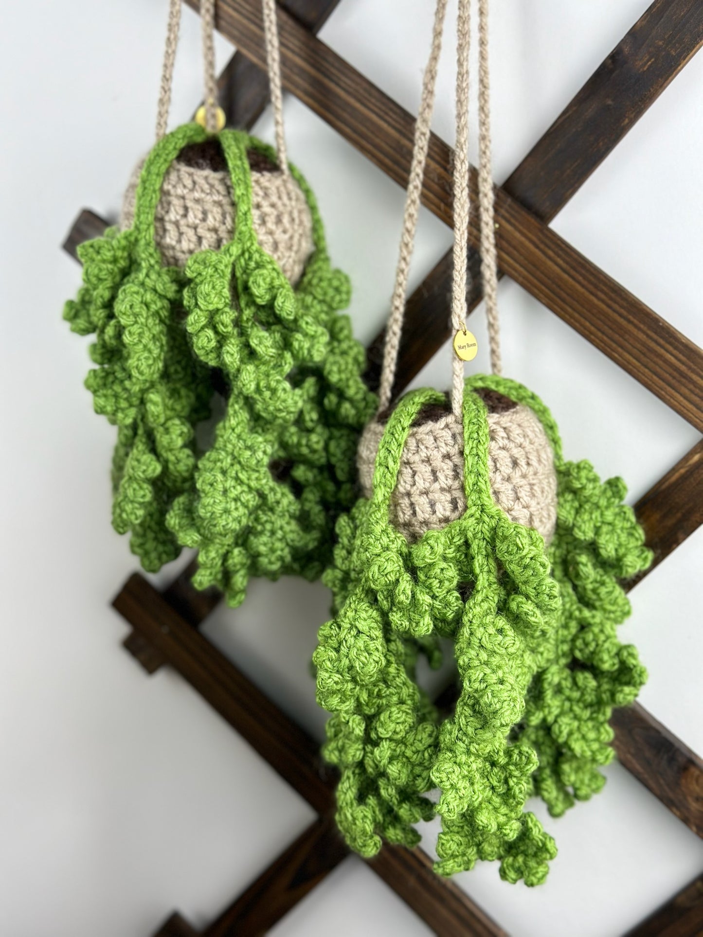 Fern Plant