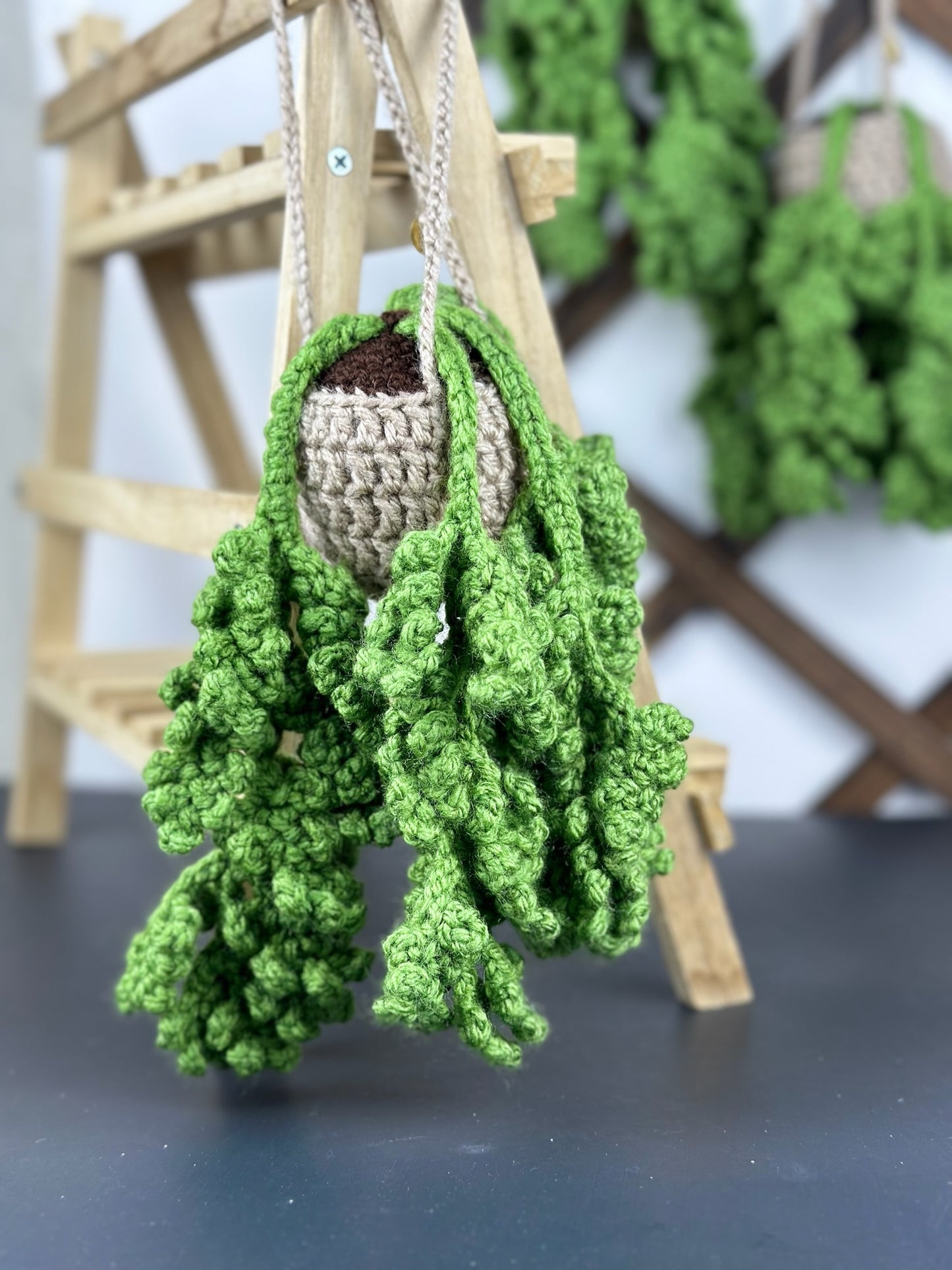 Fern Plant