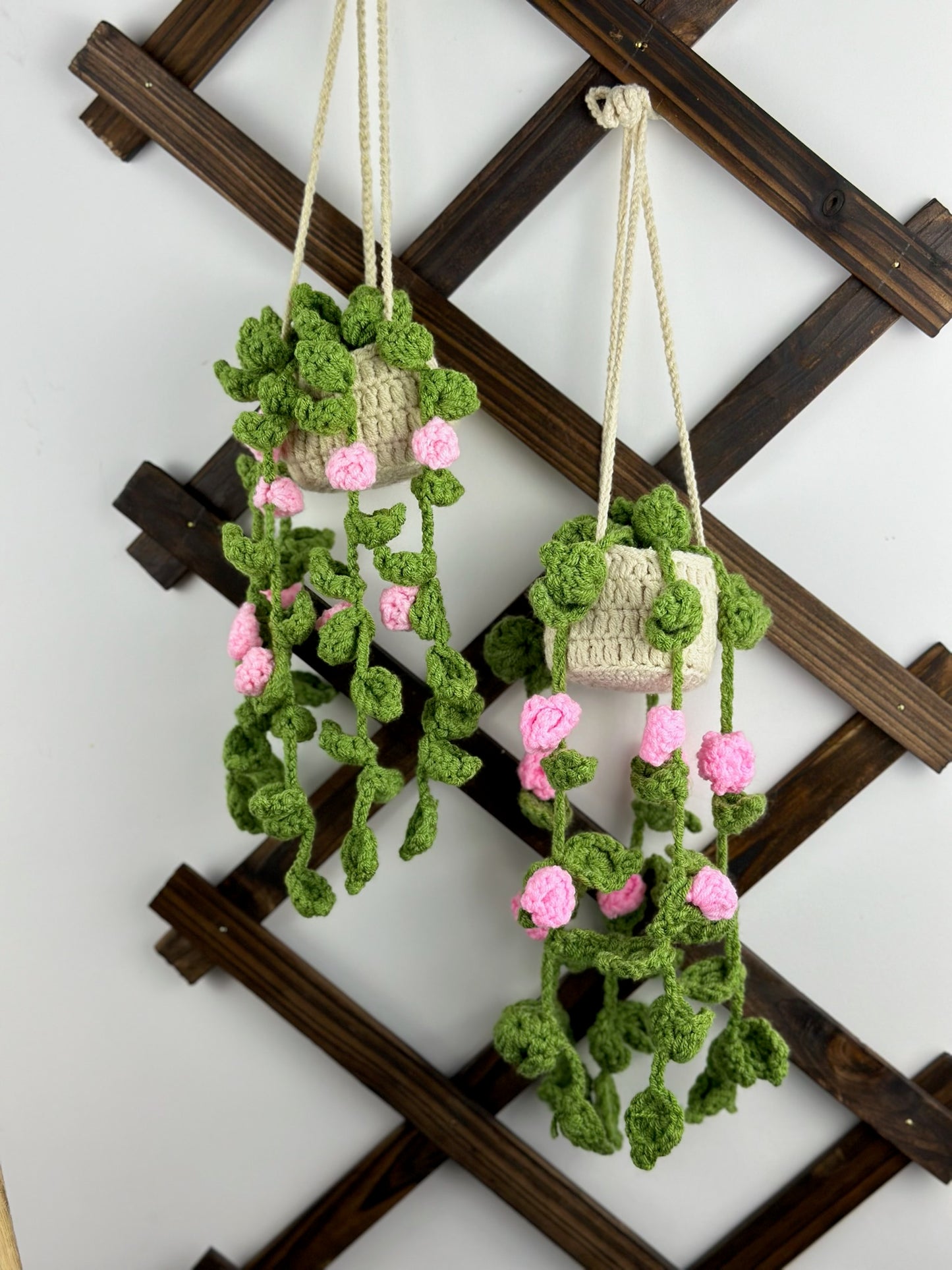 Hanging Roses