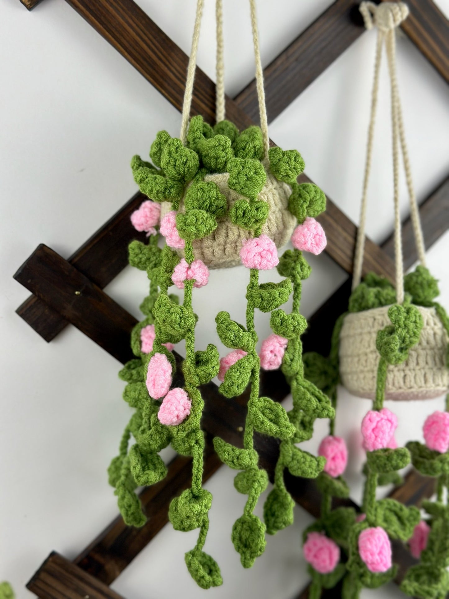Hanging Roses