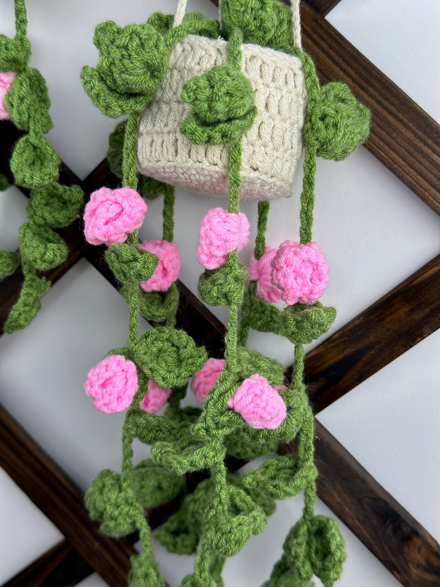 Hanging Roses