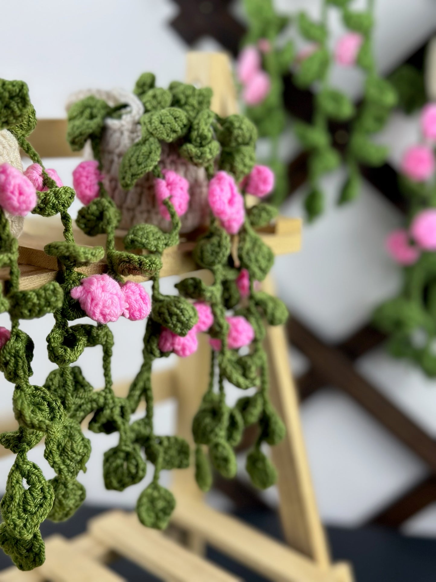 Hanging Roses