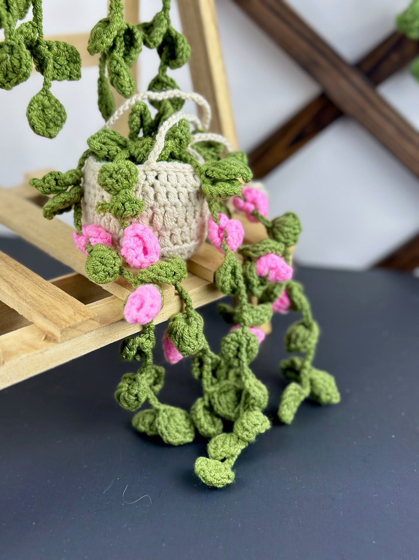 Hanging Roses