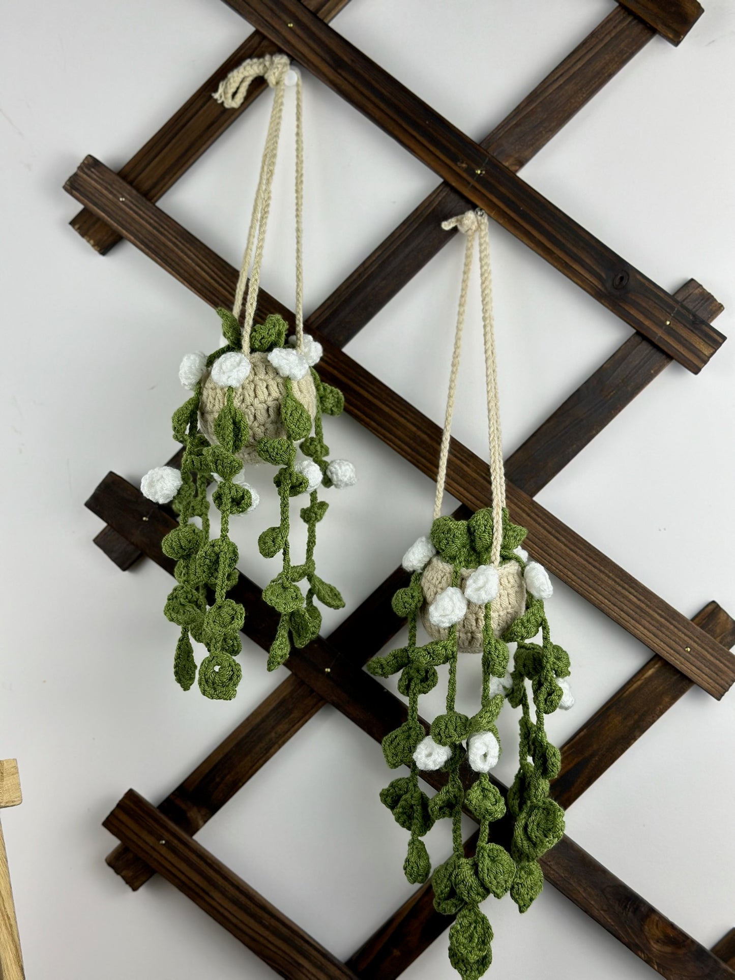 Hanging Roses