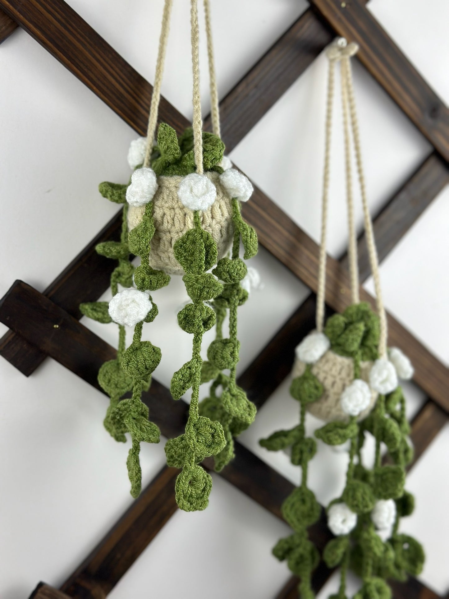 Hanging Roses