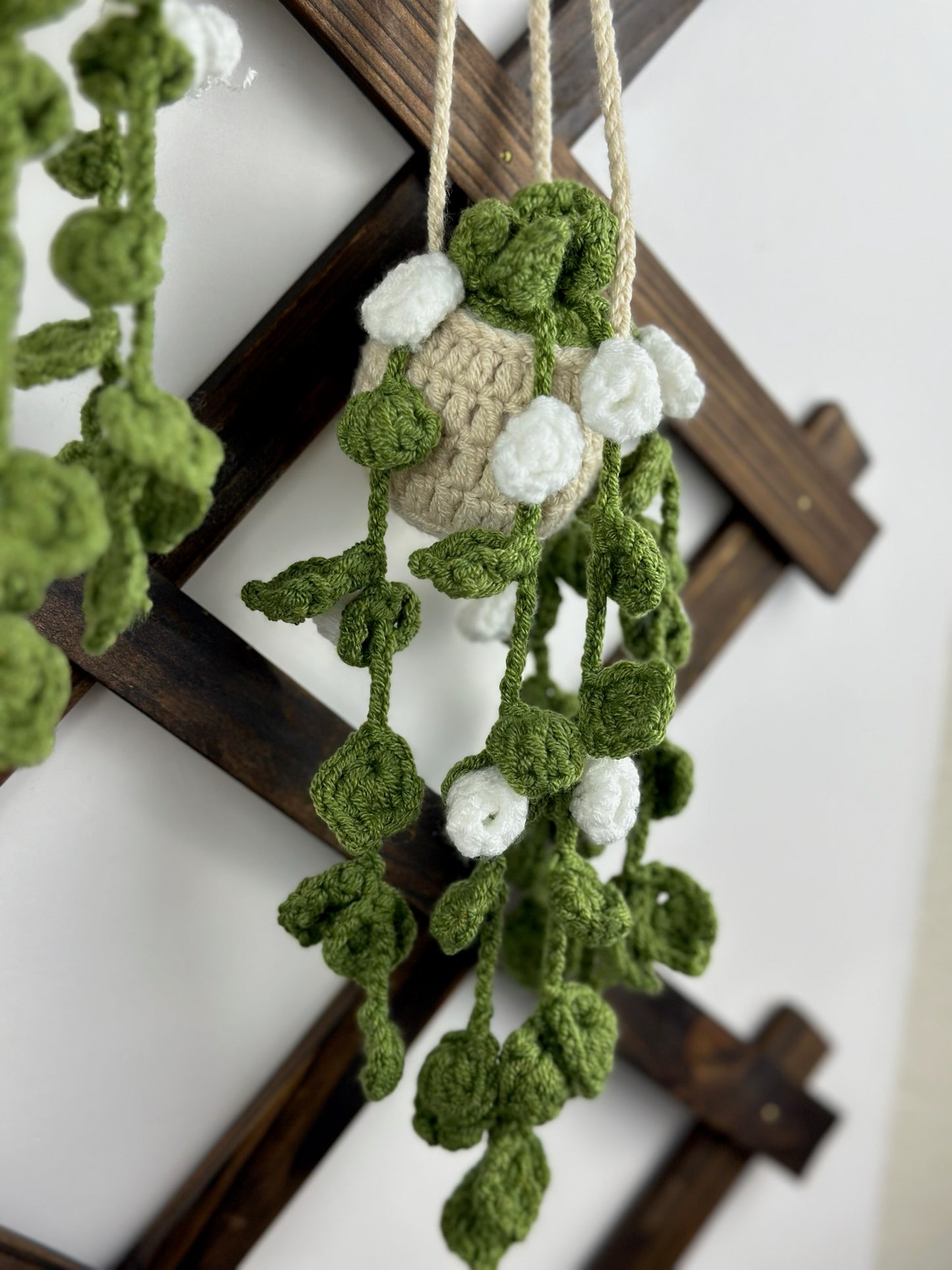 Hanging Roses