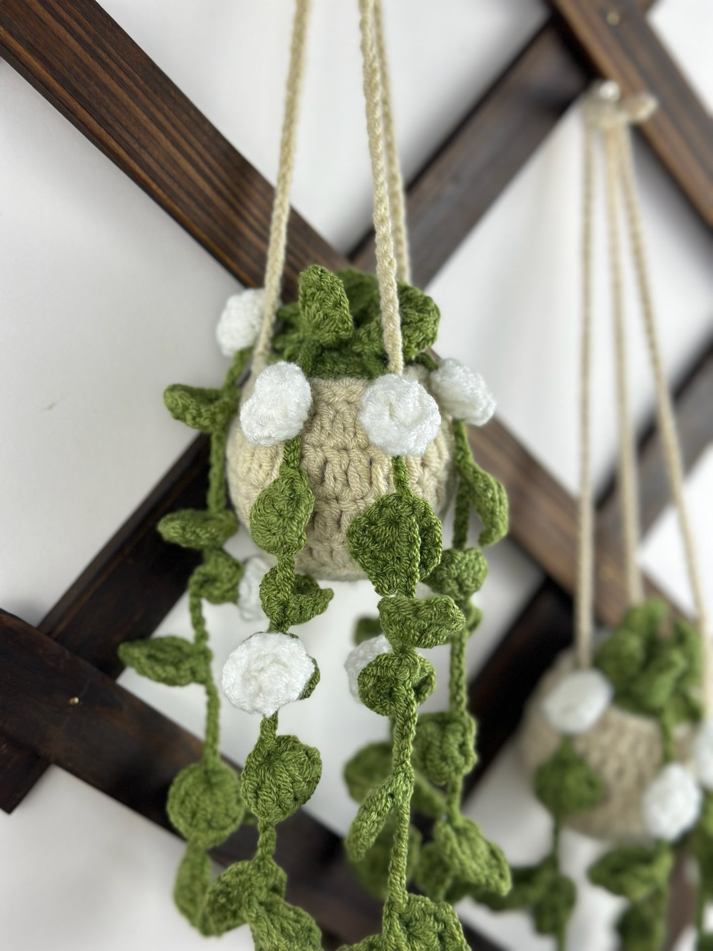 Hanging Roses