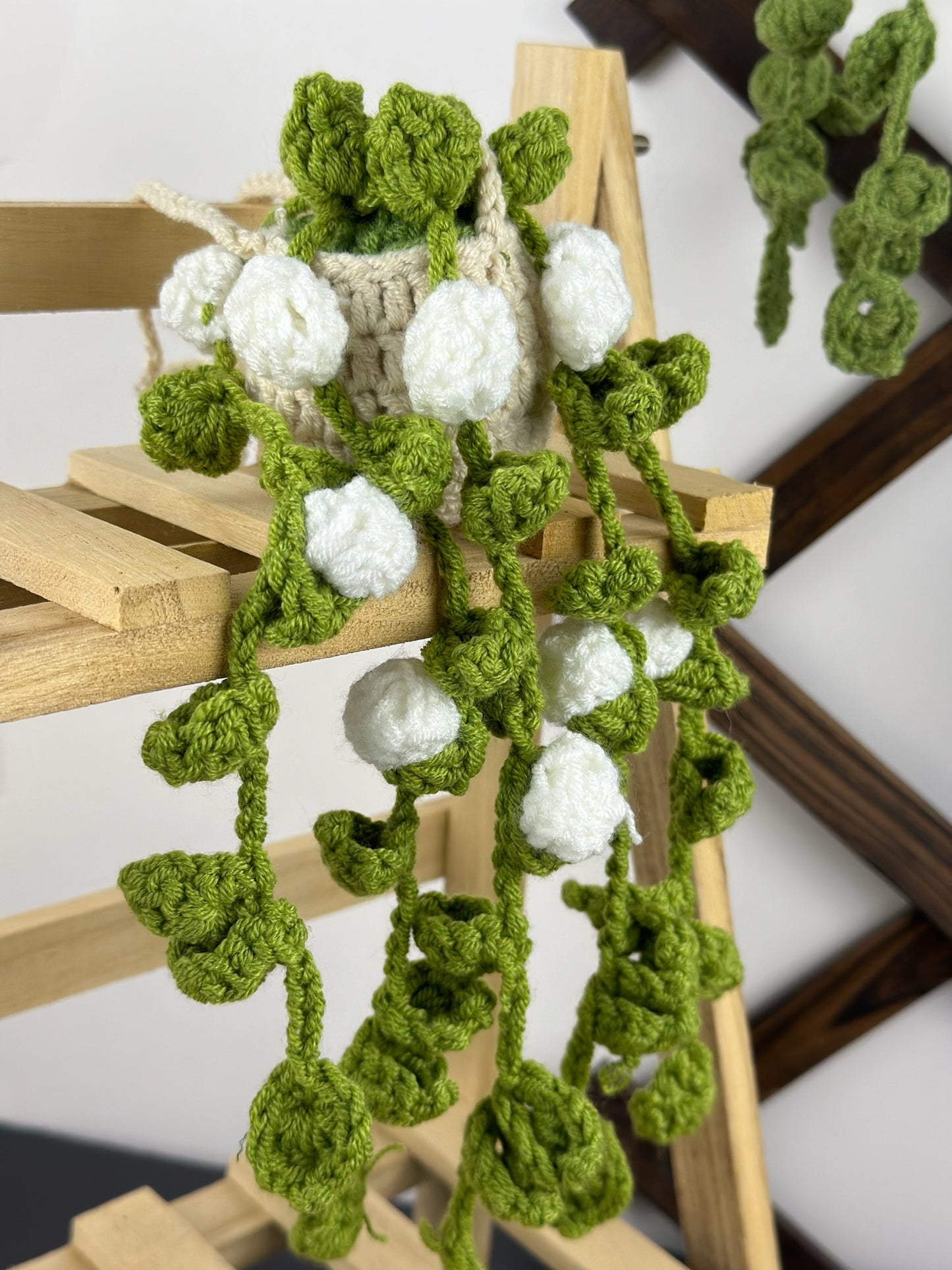 Hanging Roses