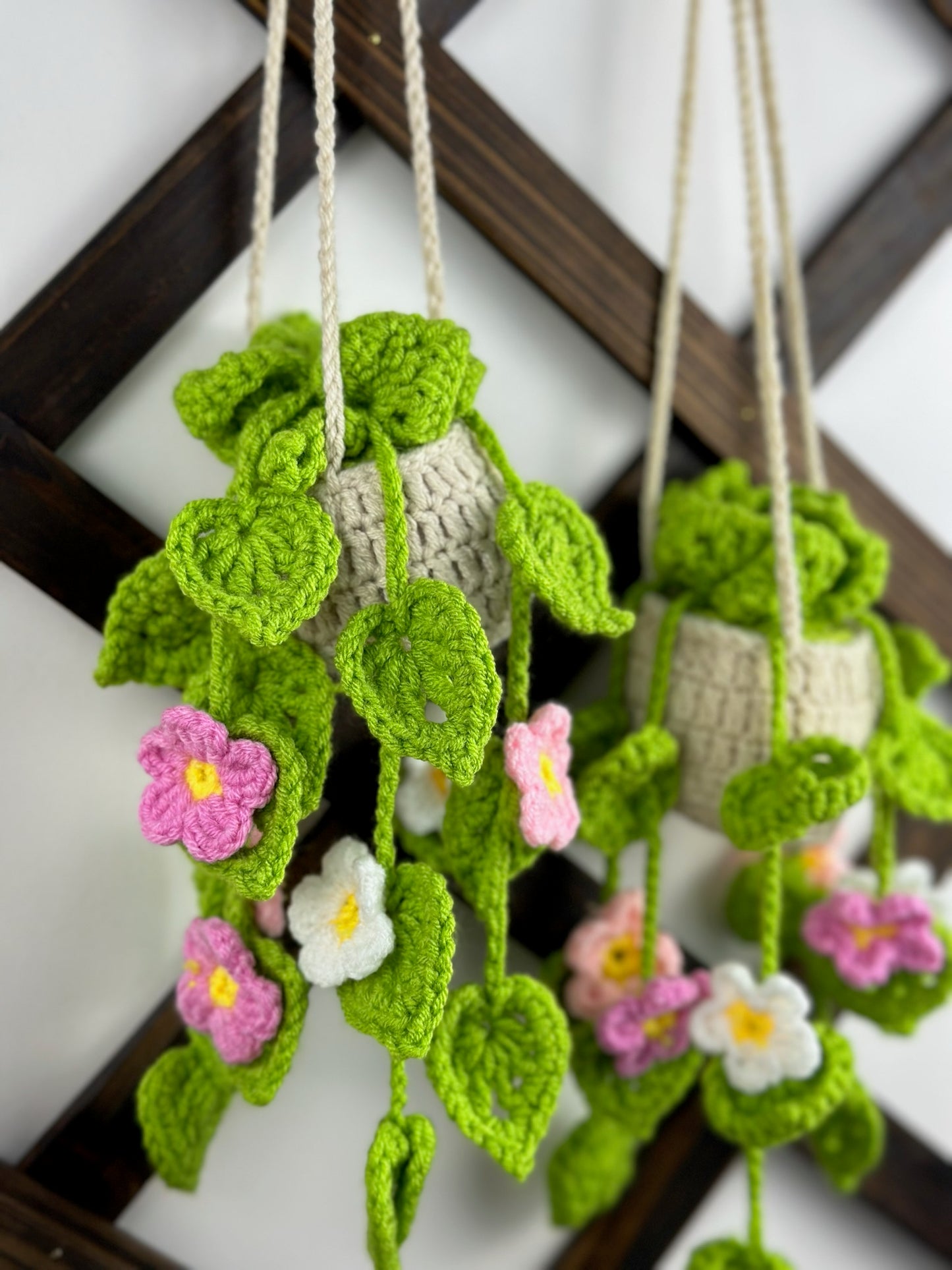 Daisy Flowers
