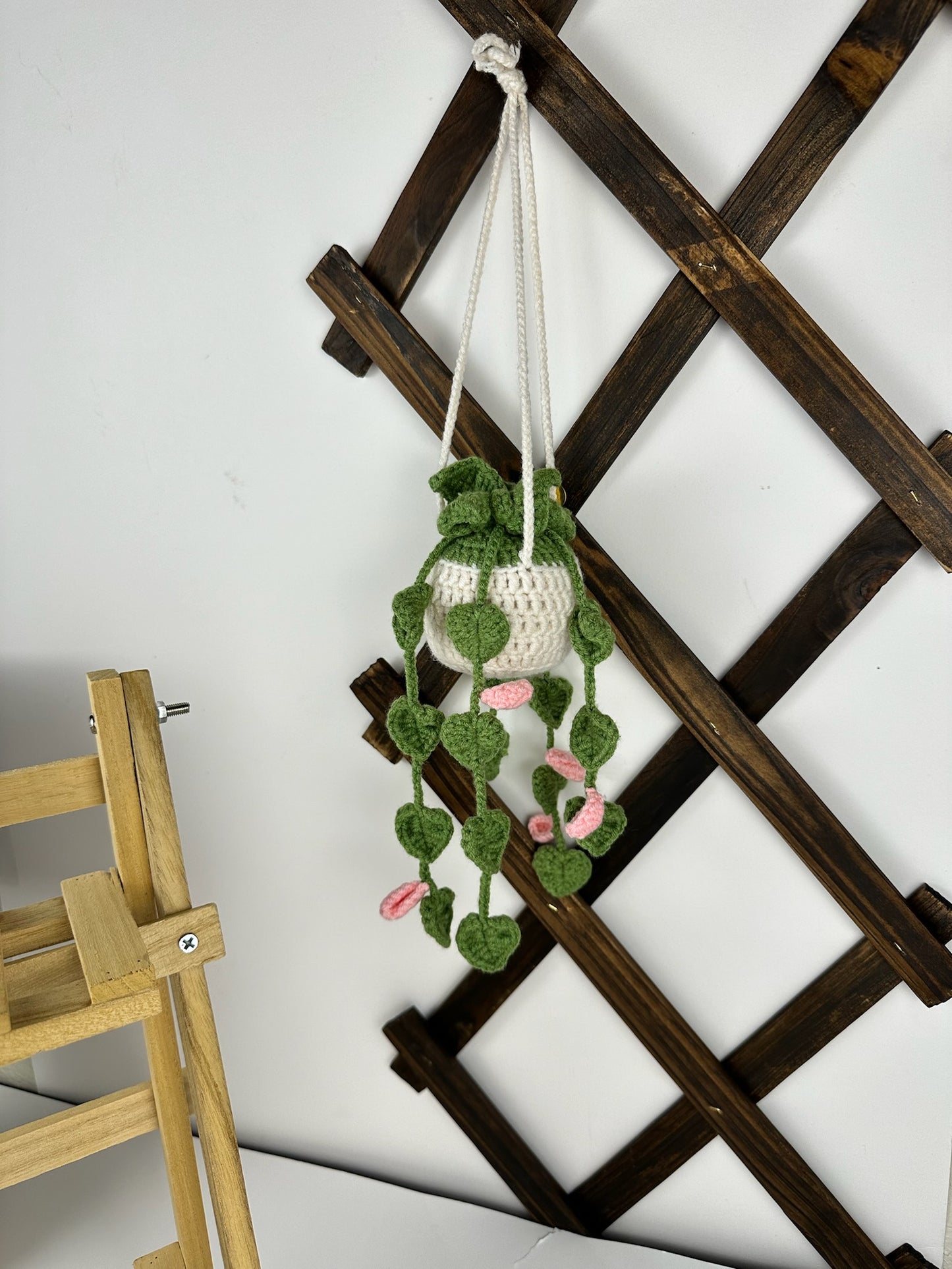 Plant with Pink Flowers