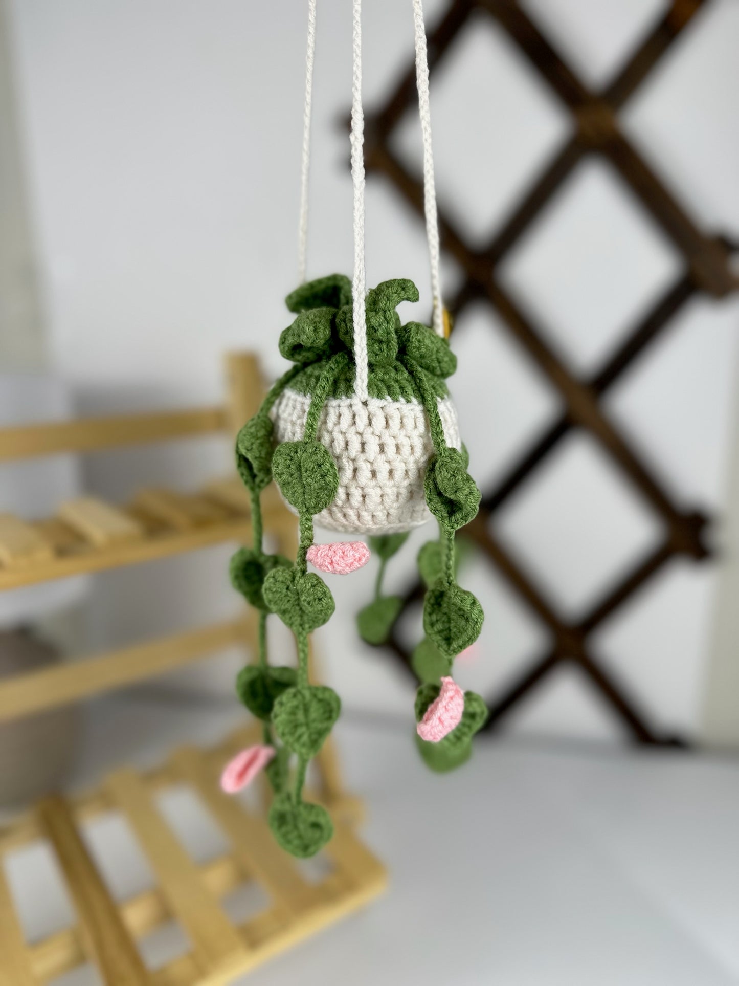 Plant with Pink Flowers