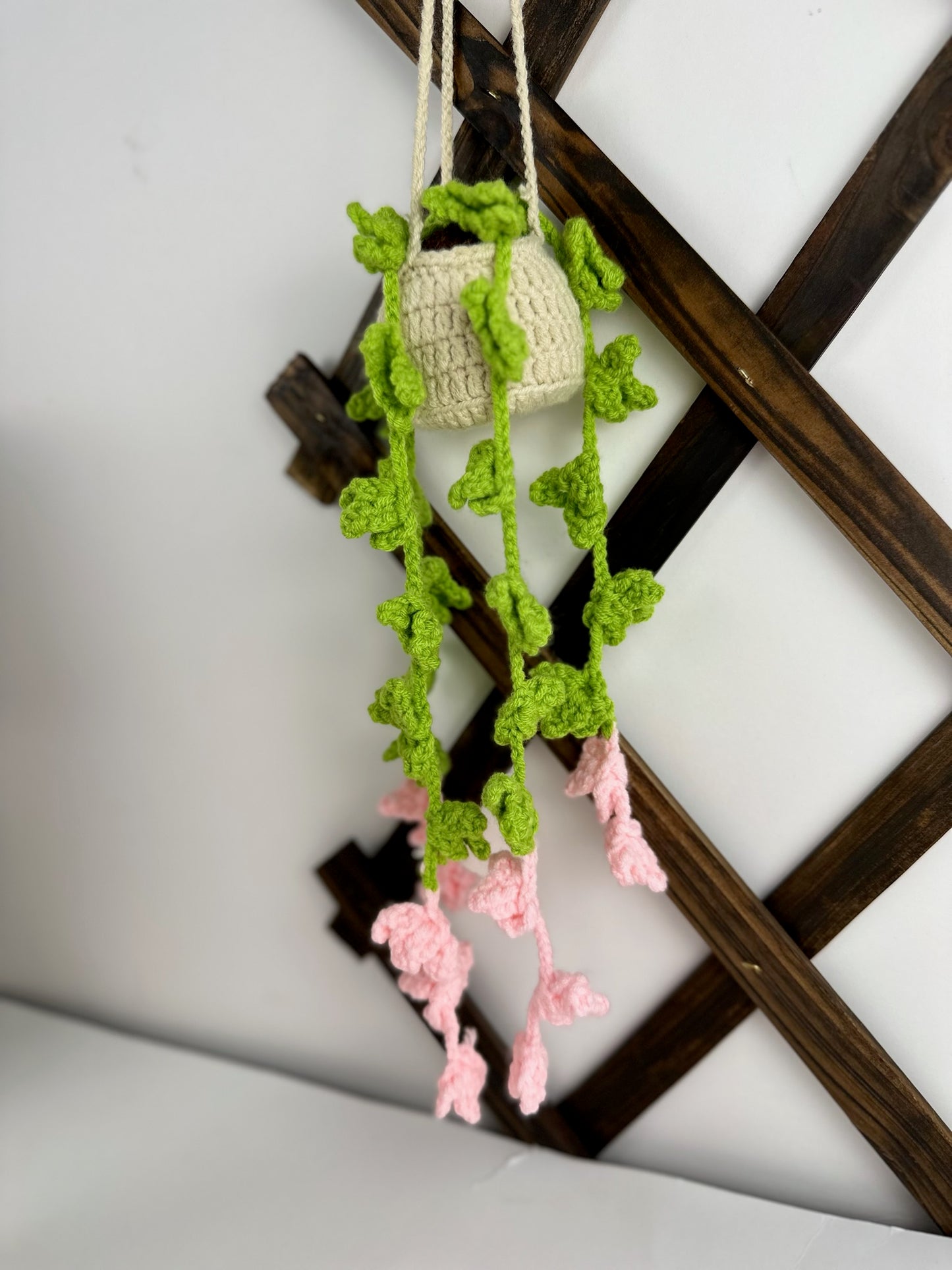 Hanging Plant With Flowers