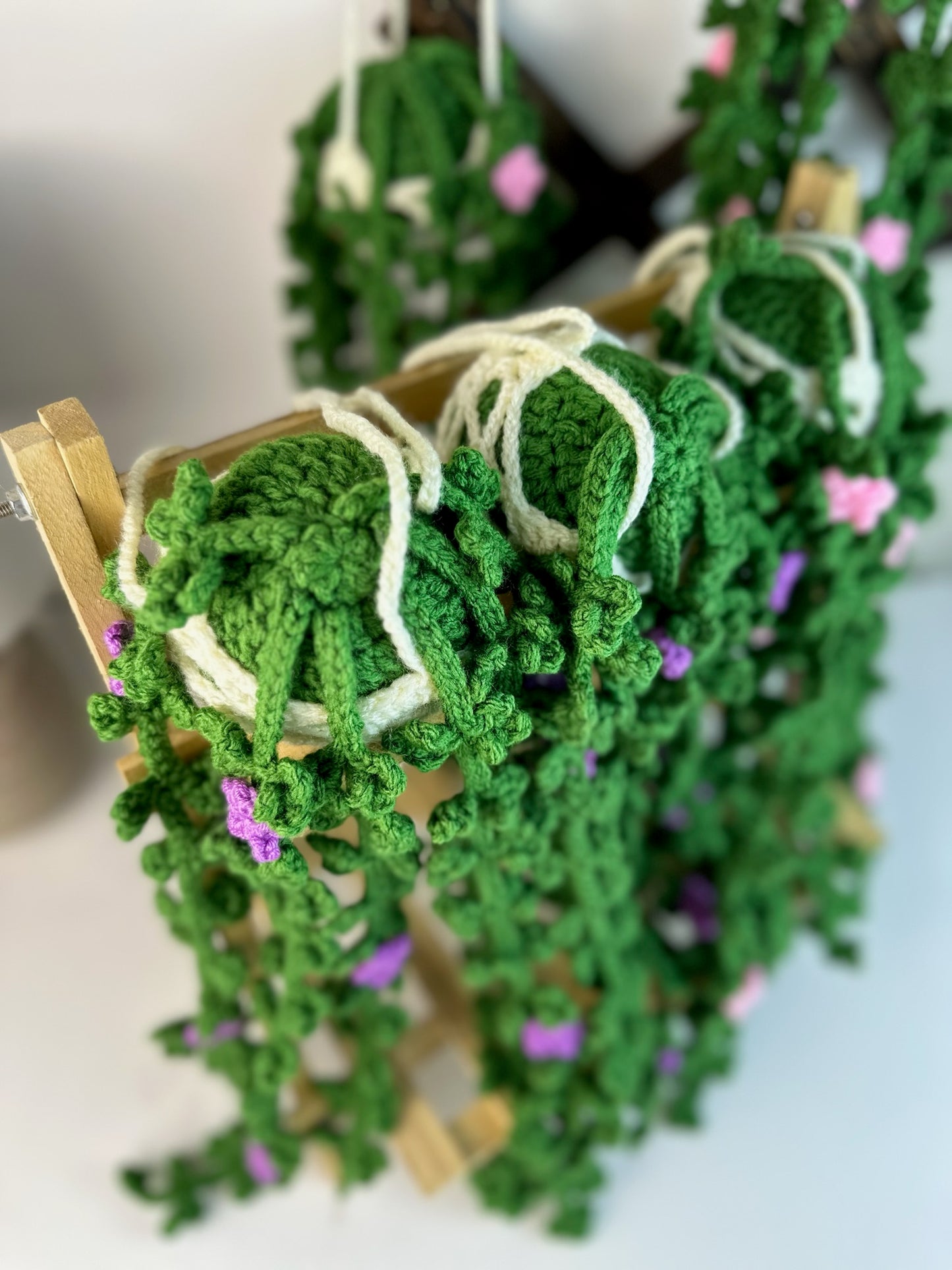 Hanging Plant with Flowers