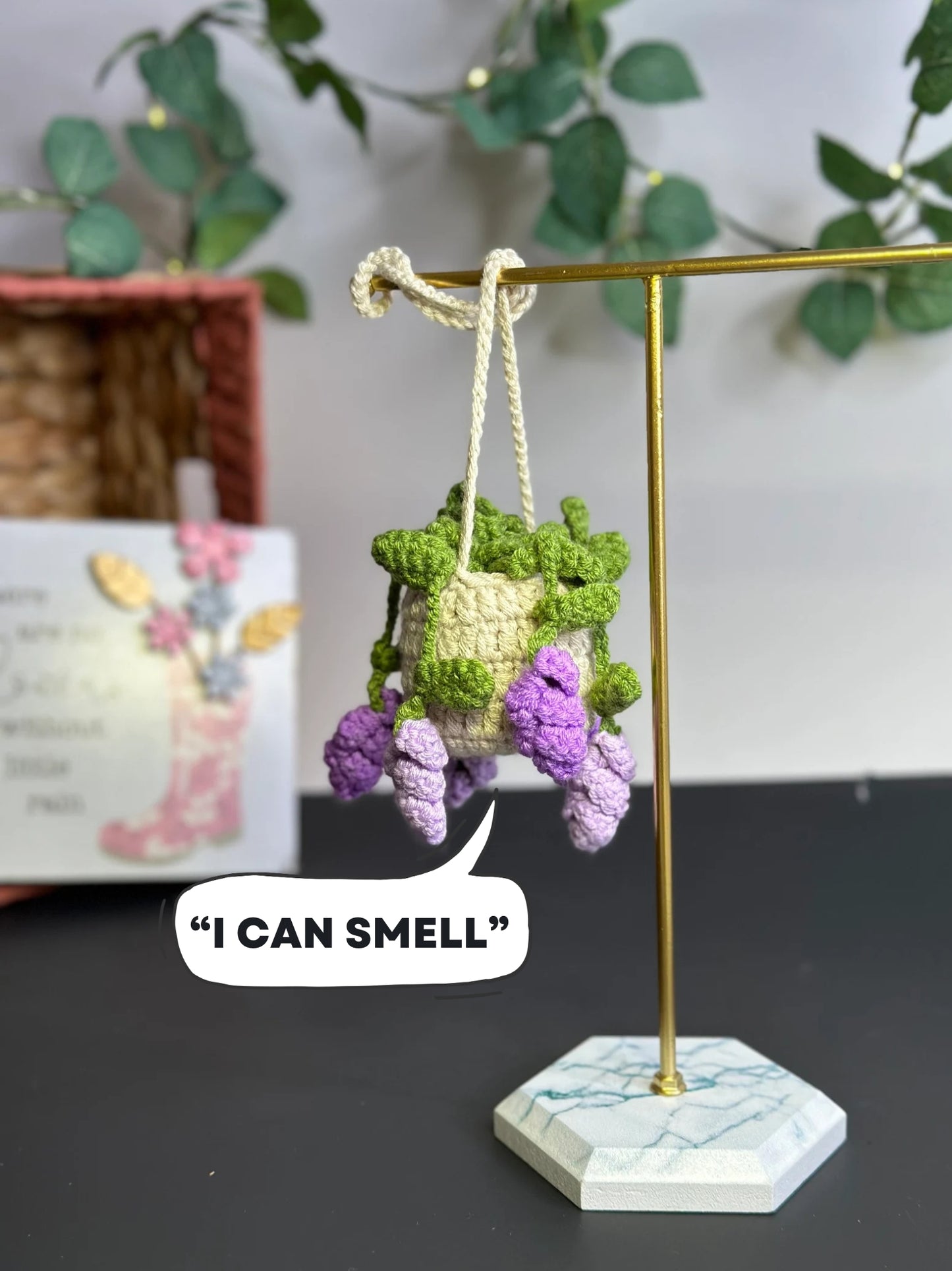 Hanging Wisteria