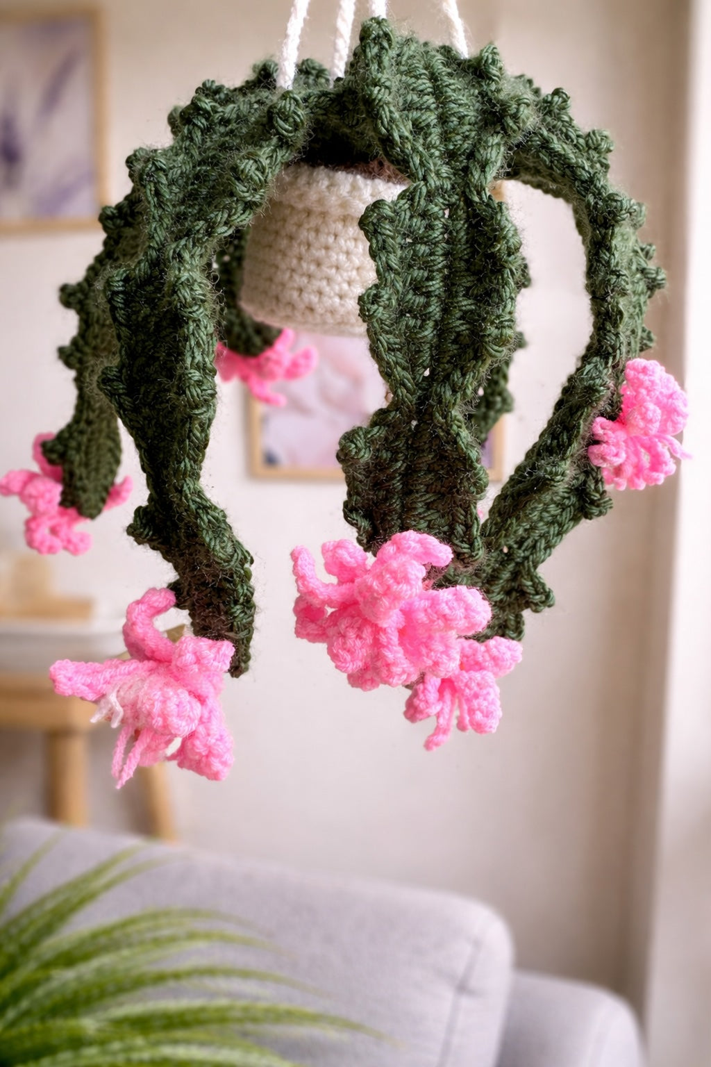 Christmas Holiday Cactus