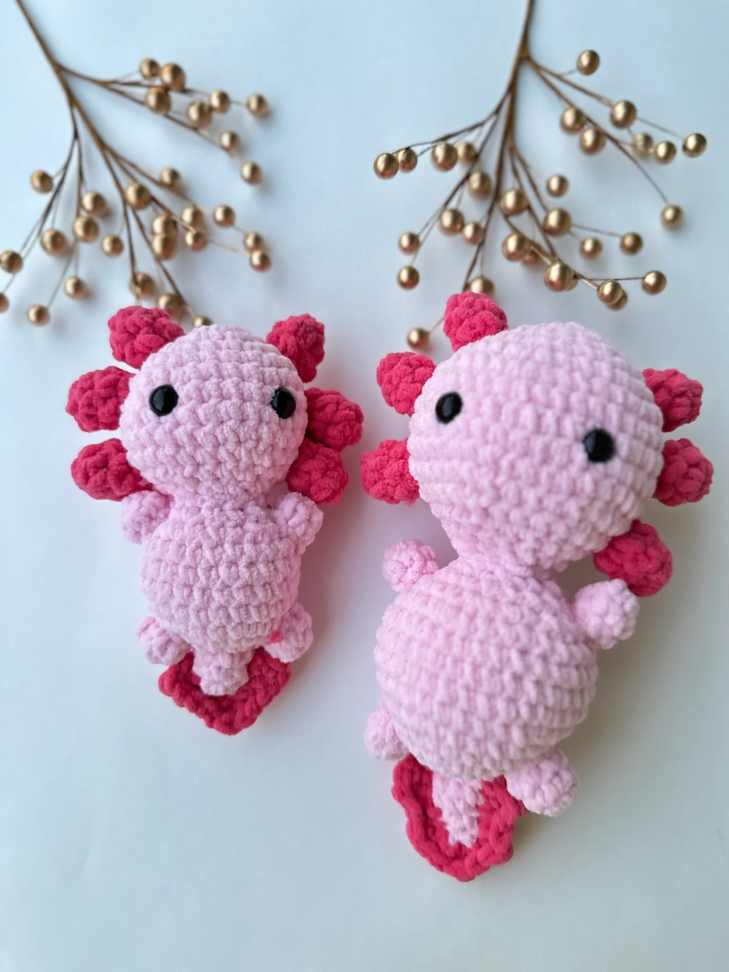 Axolotl