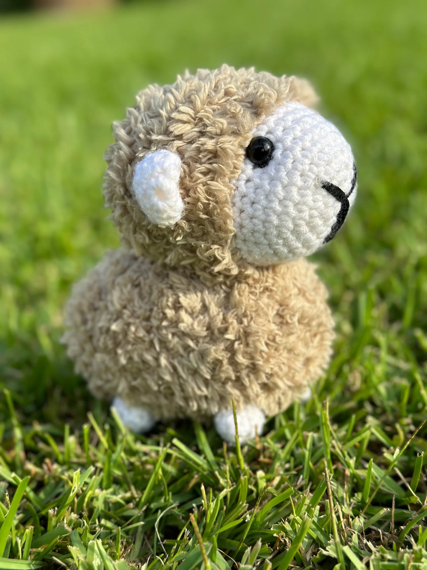 Plush Sheep