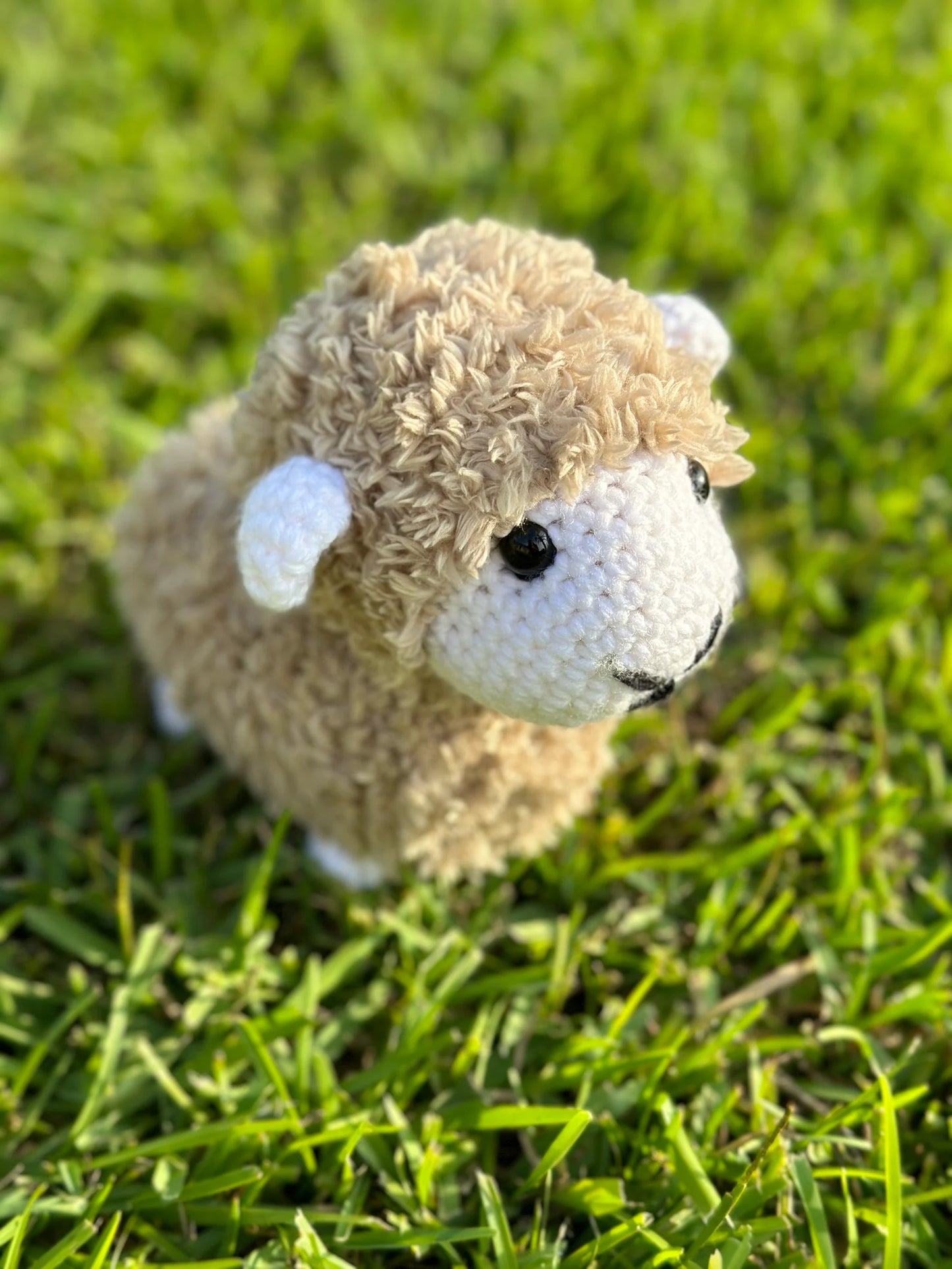 Plush Sheep