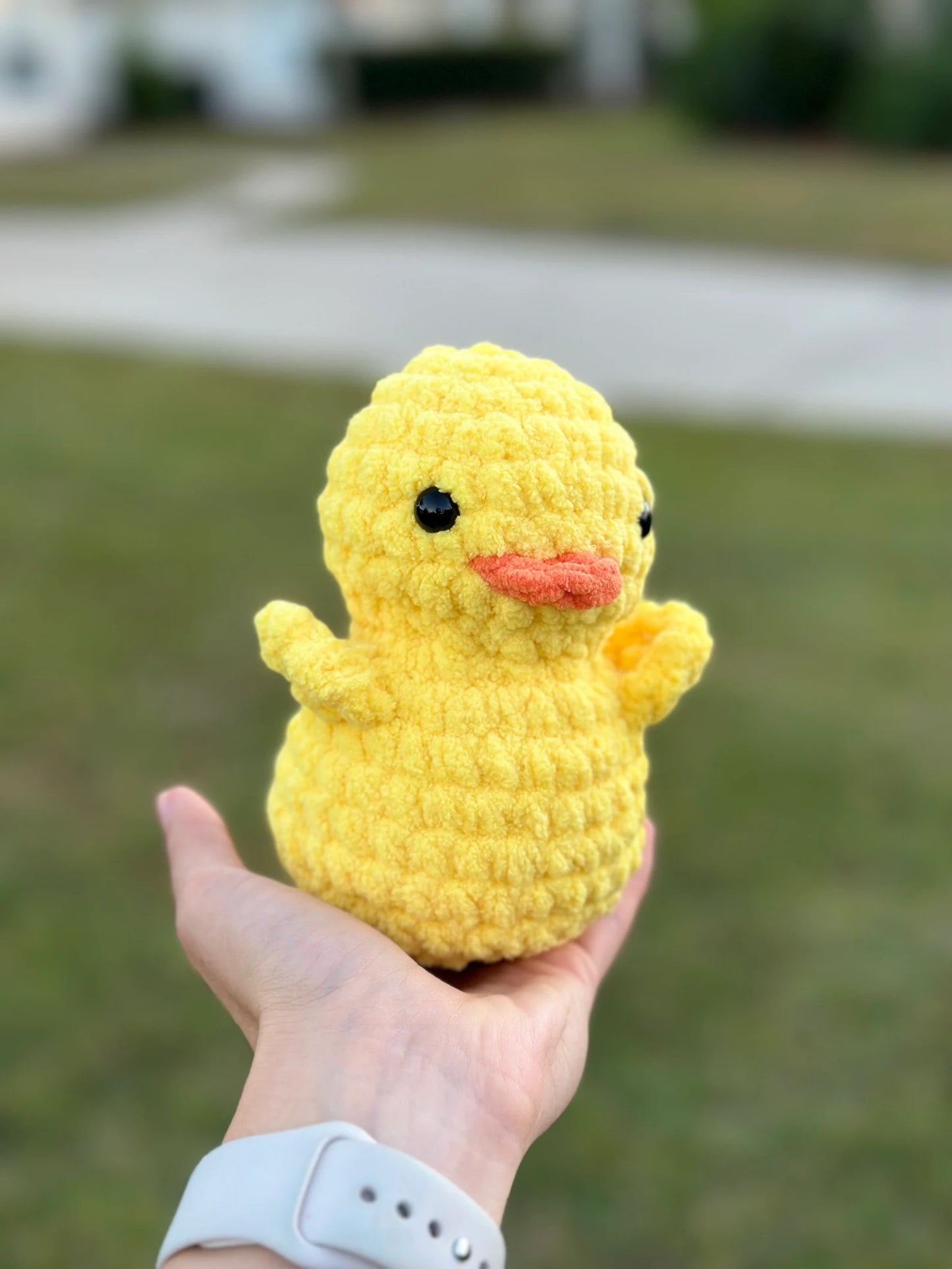 Duck