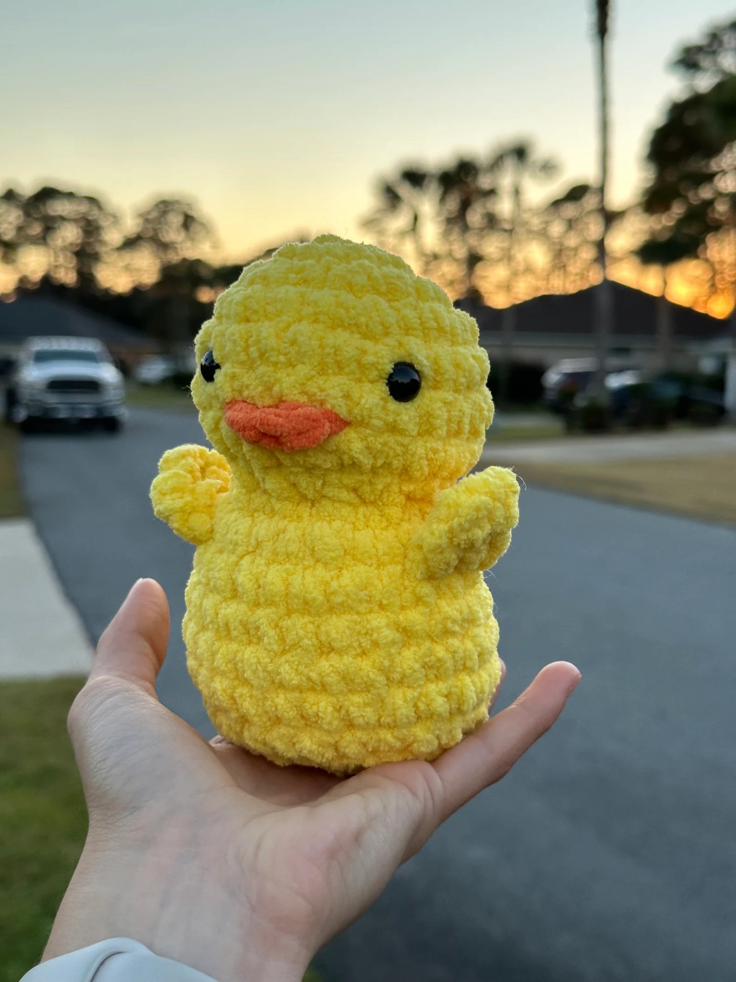 Duck