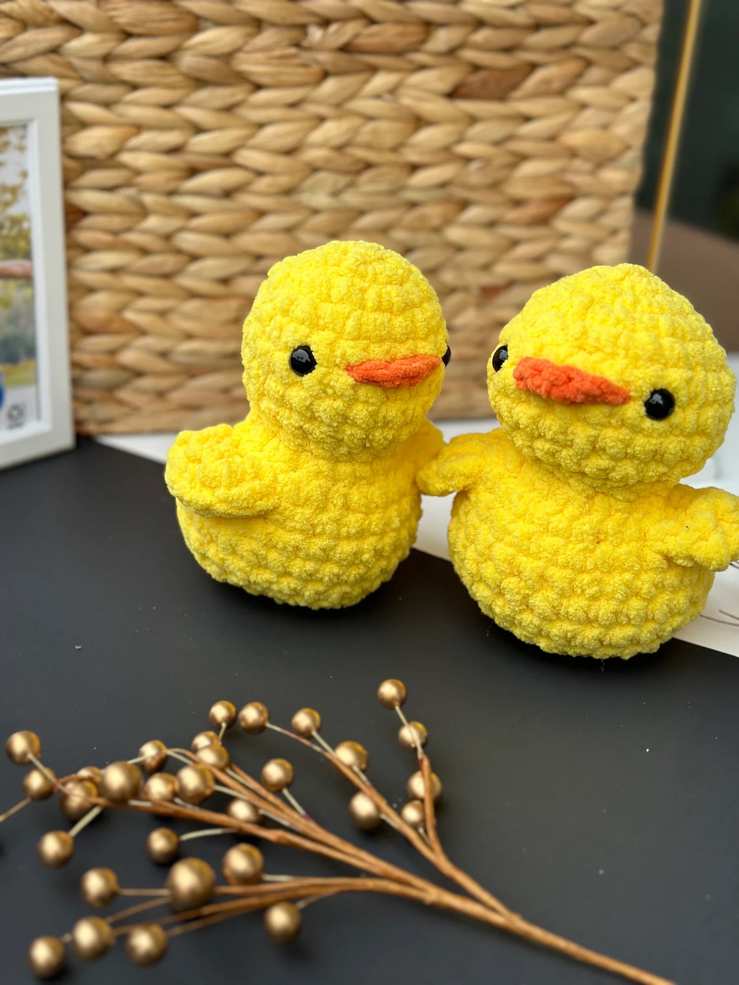 Duck