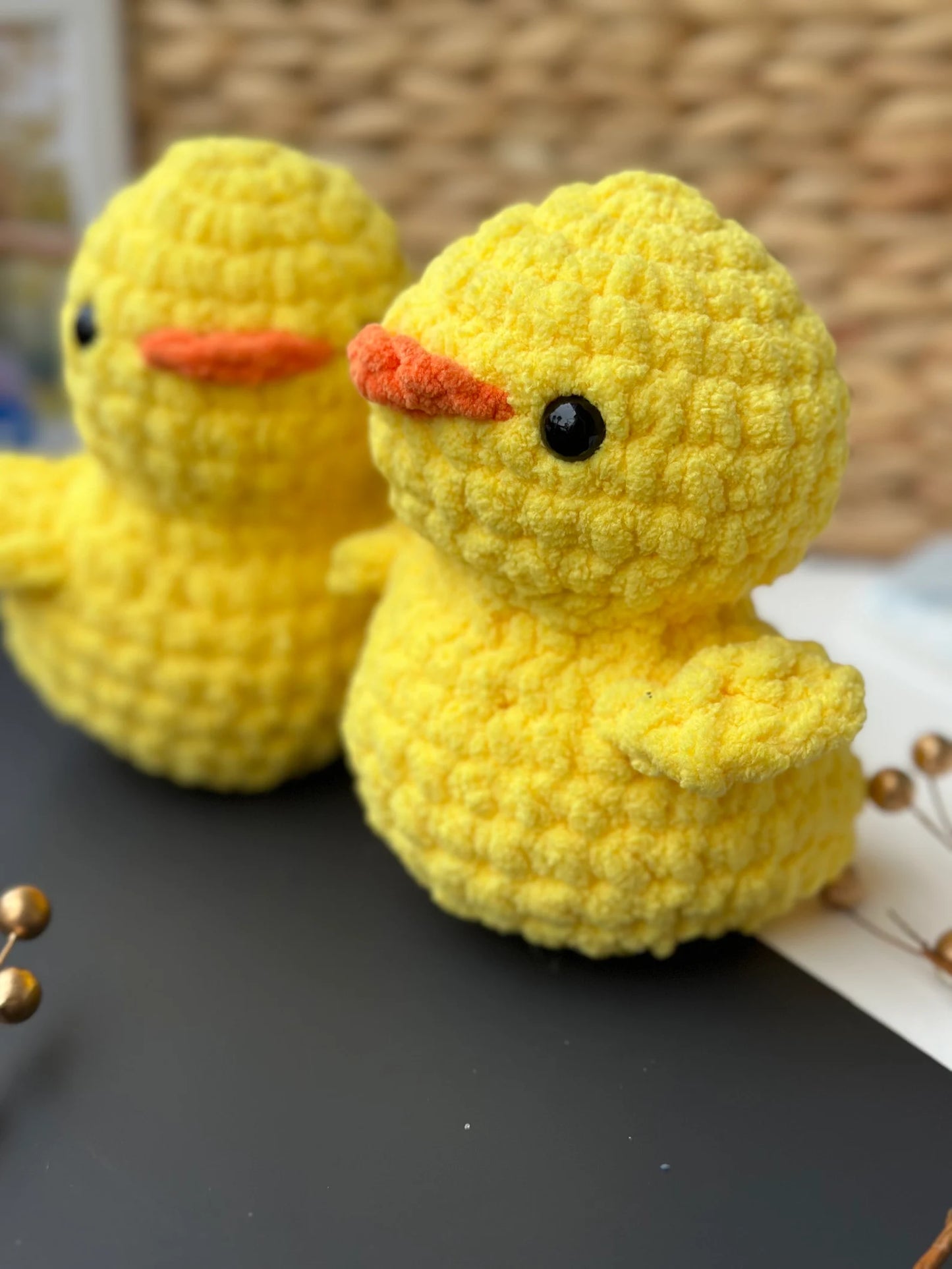 Duck
