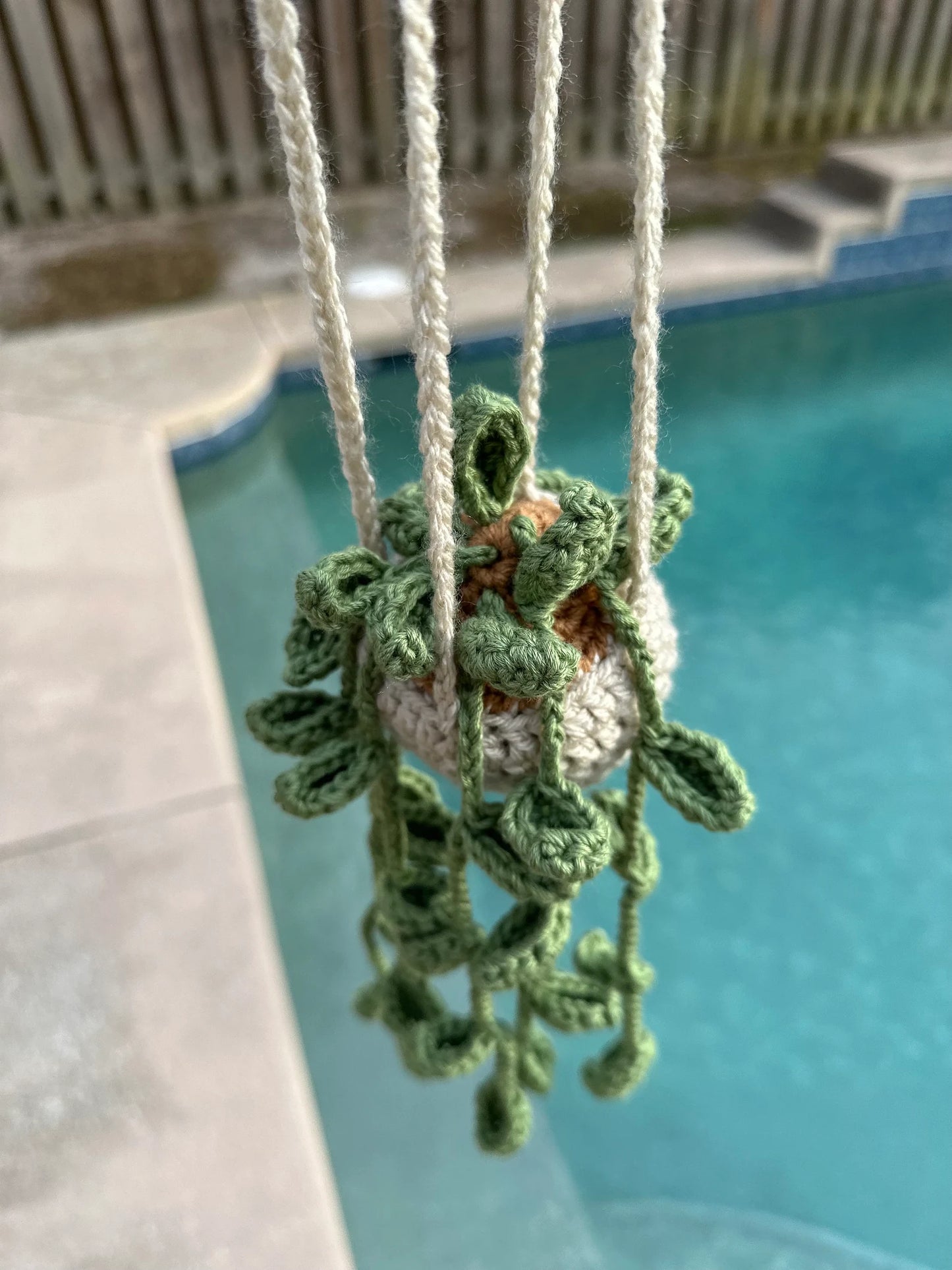 Hanging Plant