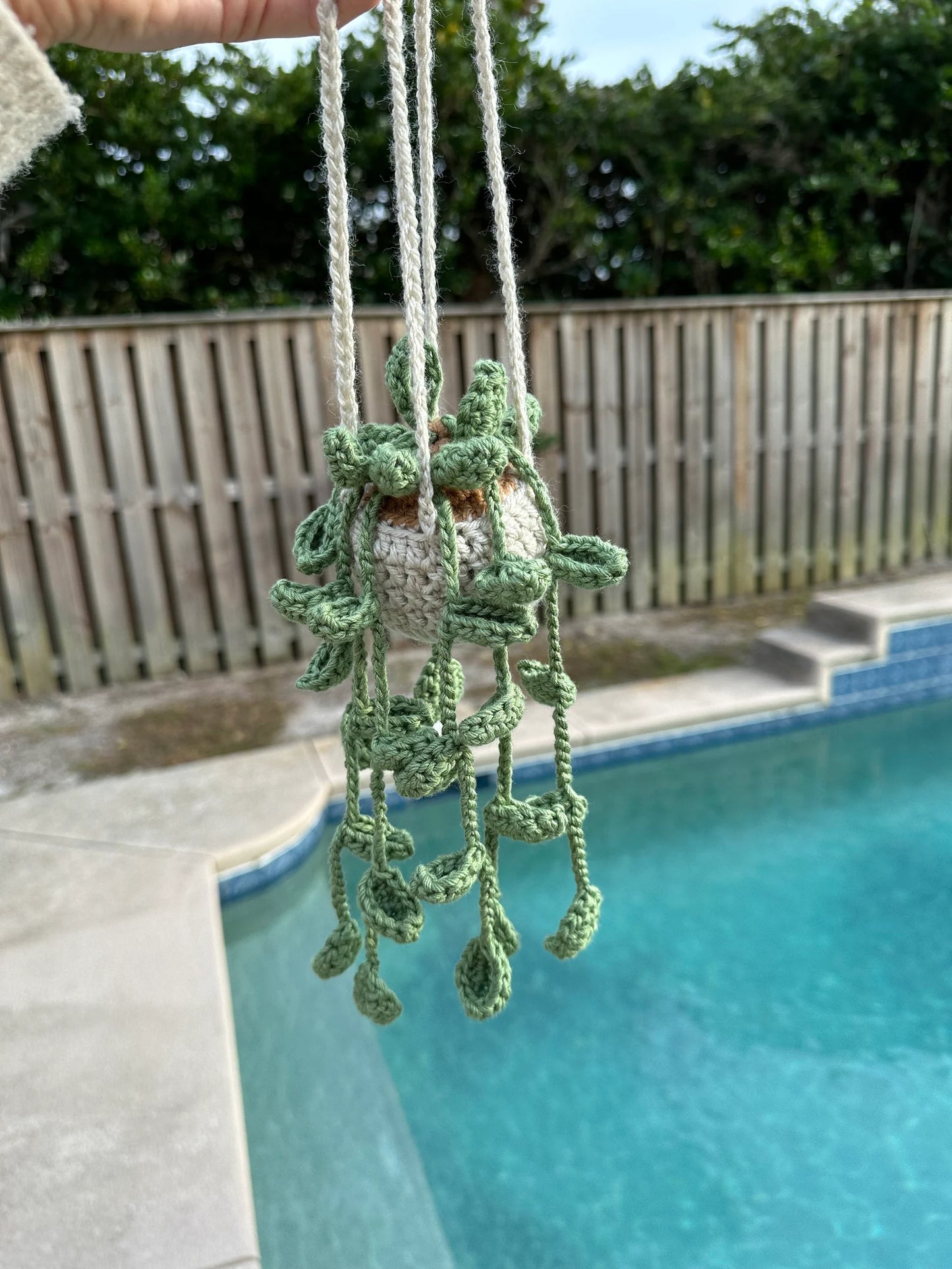 Hanging Plant