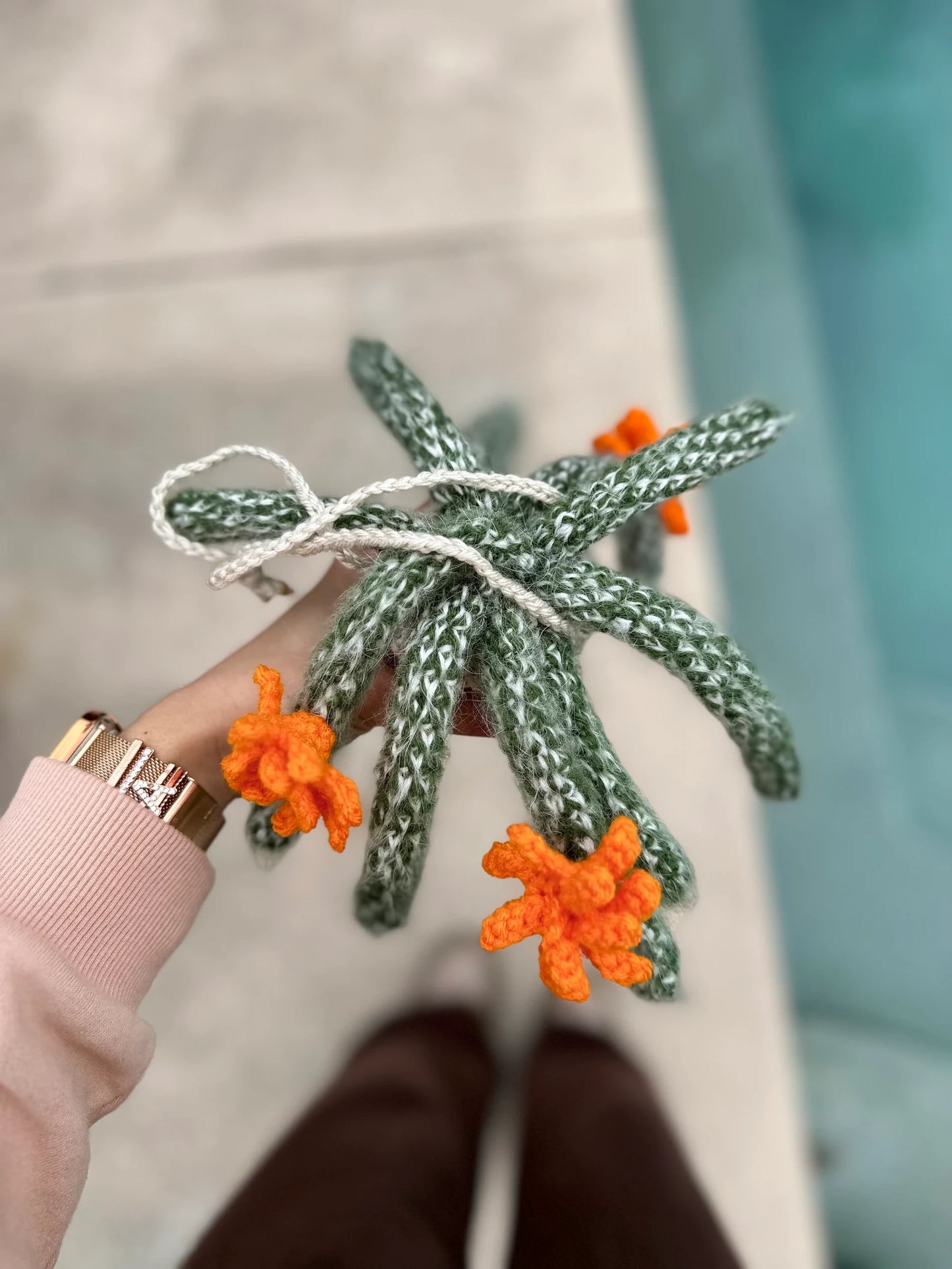 Fluffy Monkey Cactus