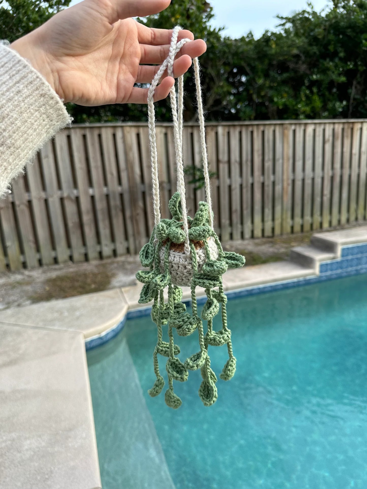 Hanging Plant