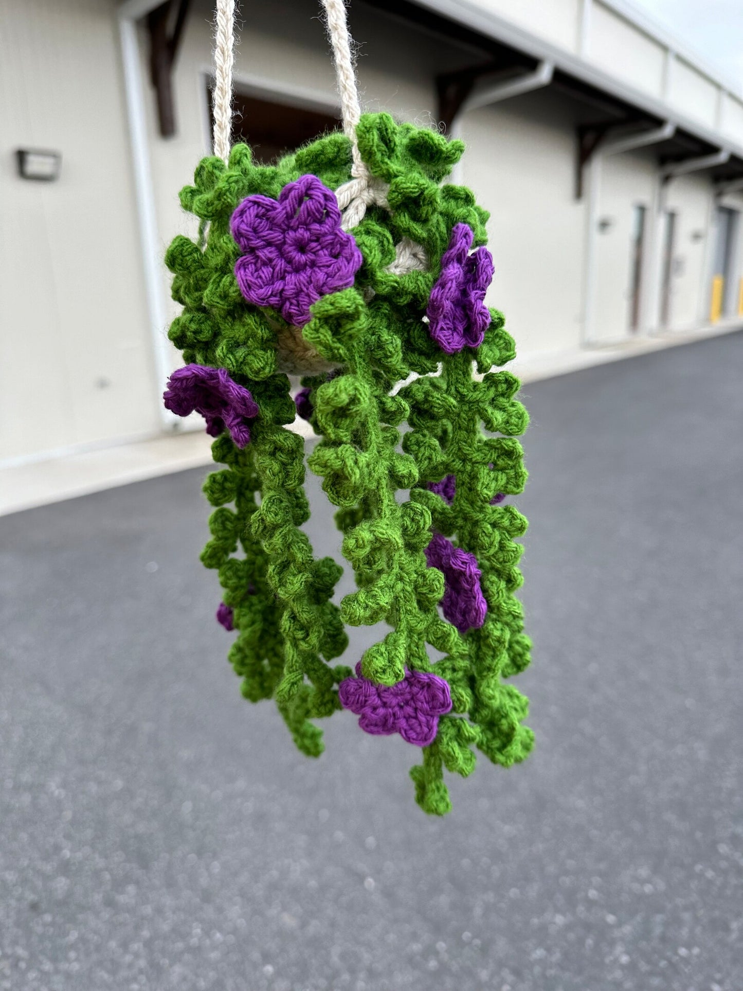 Hanging Plant with Flowers