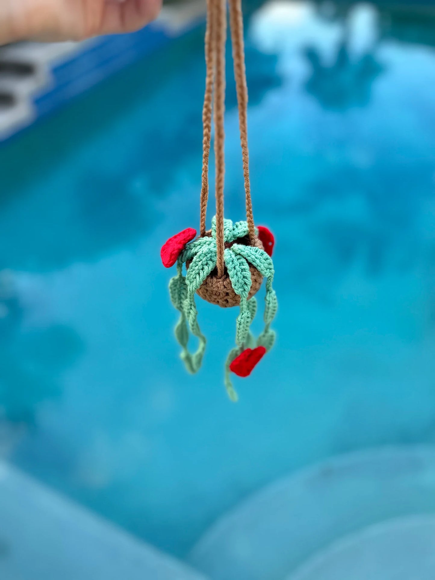 Hanging Hearts