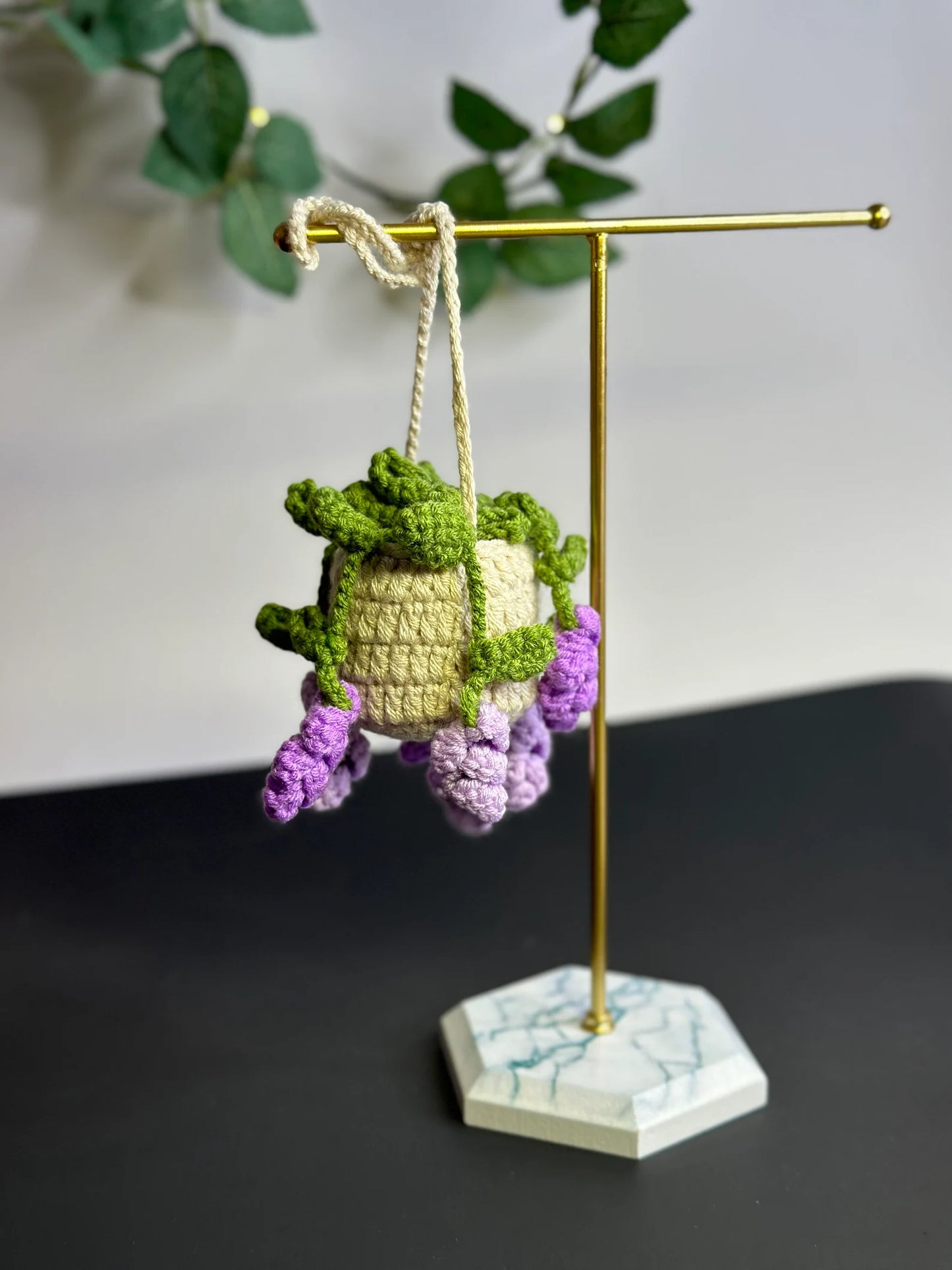 Hanging Wisteria