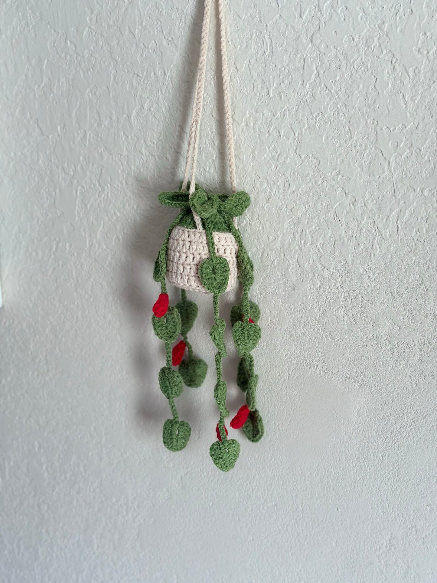 Hanging Plant with Red Flowers