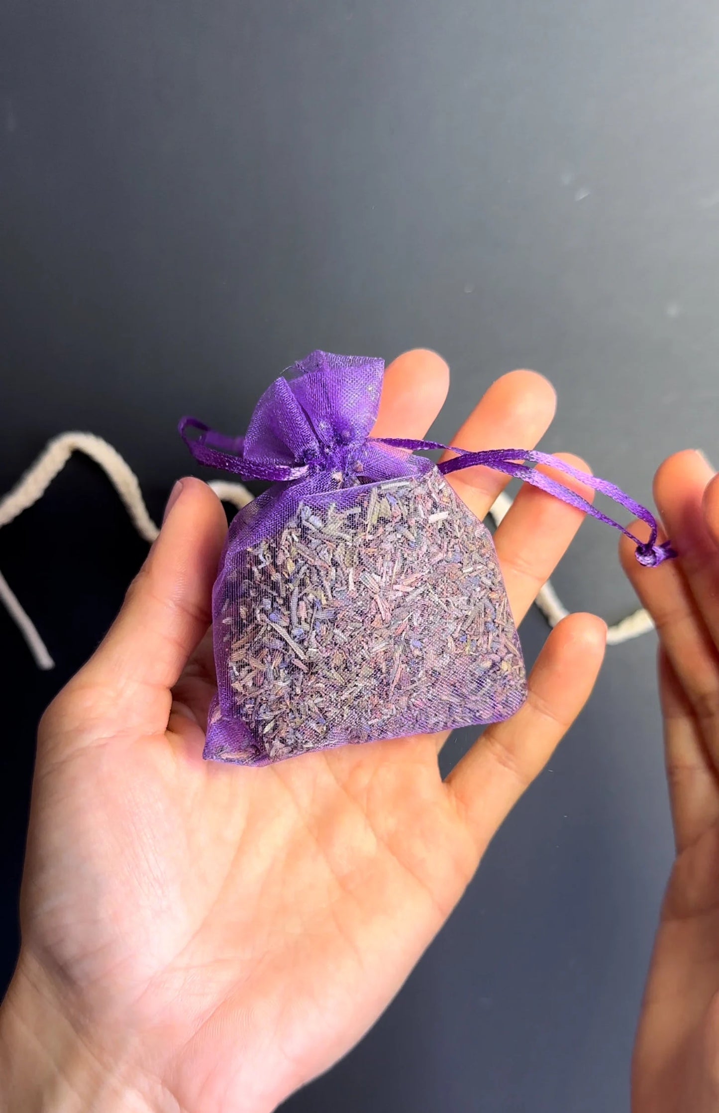 Hanging Plant with Lavender