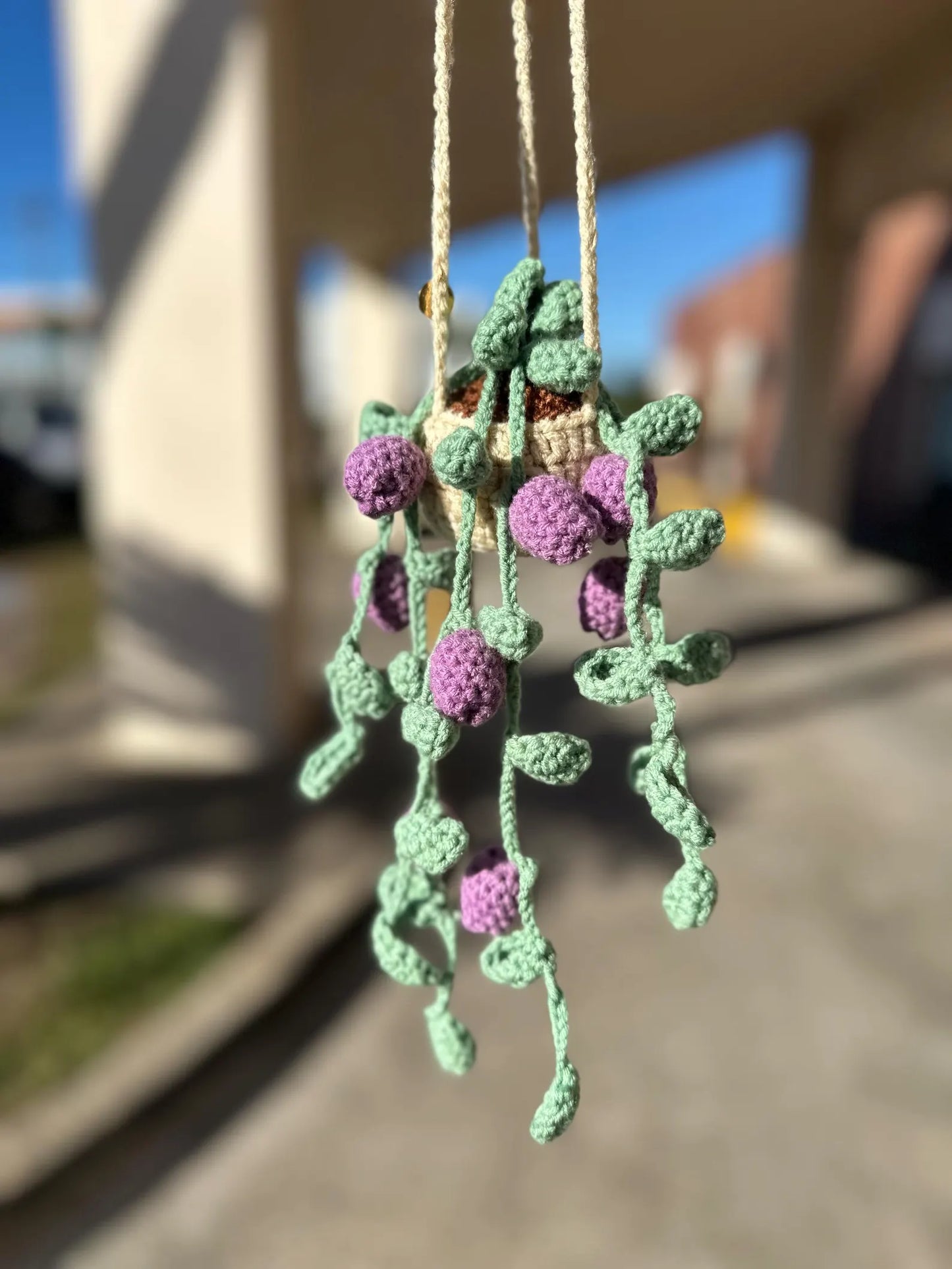 Hanging Tulip