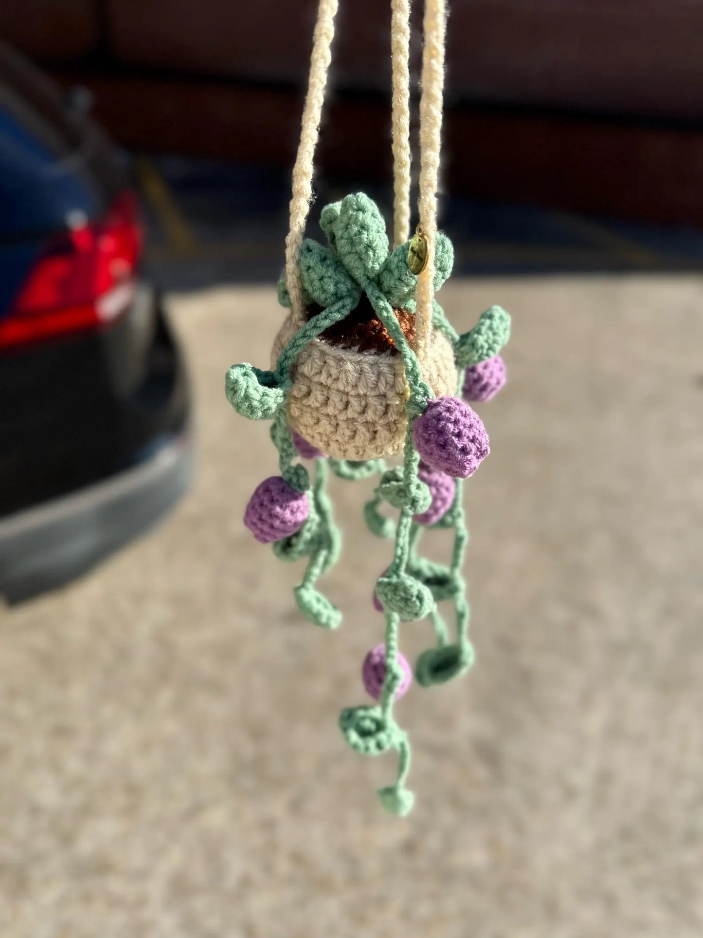 Hanging Tulip