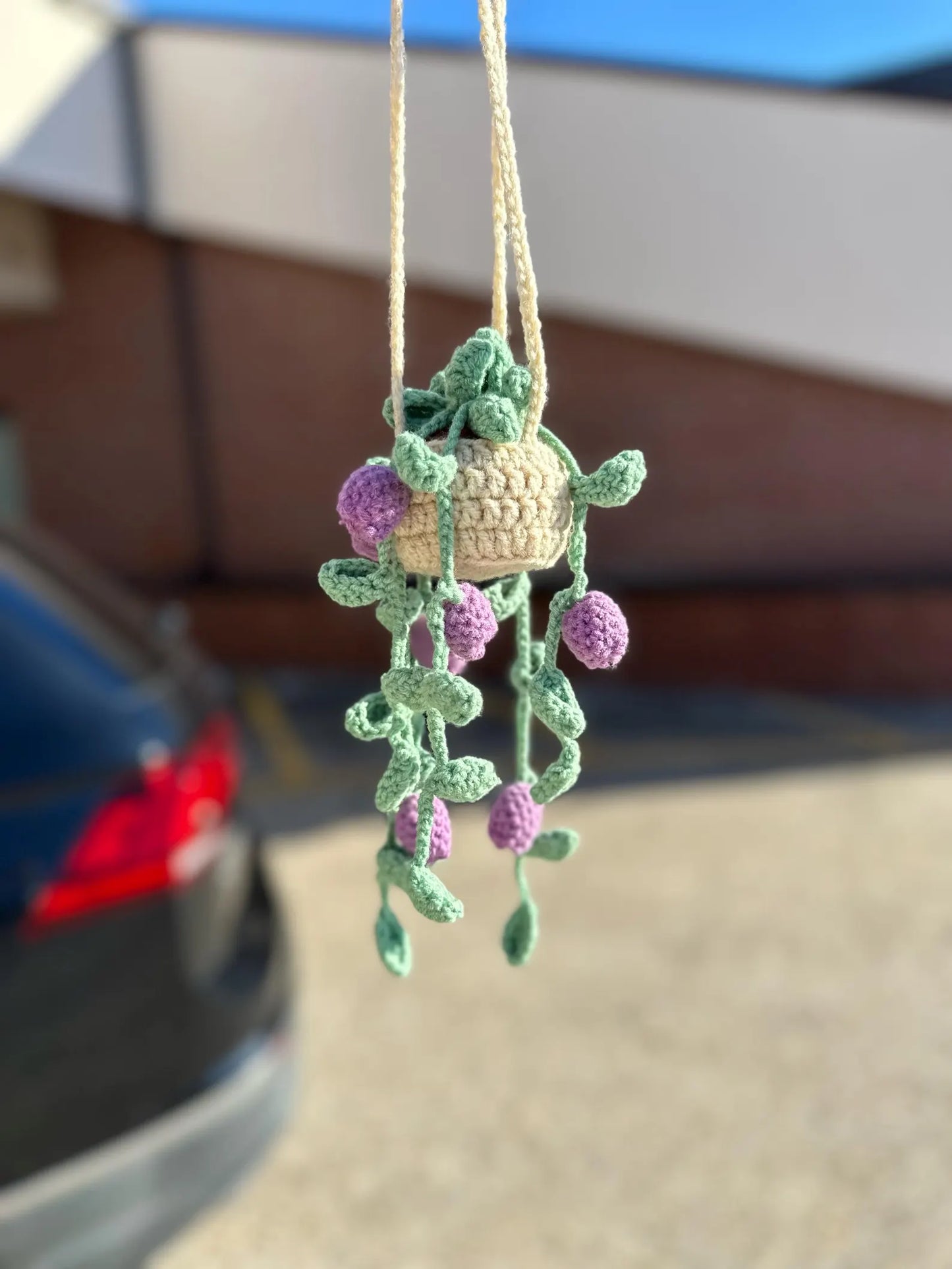 Hanging Tulip