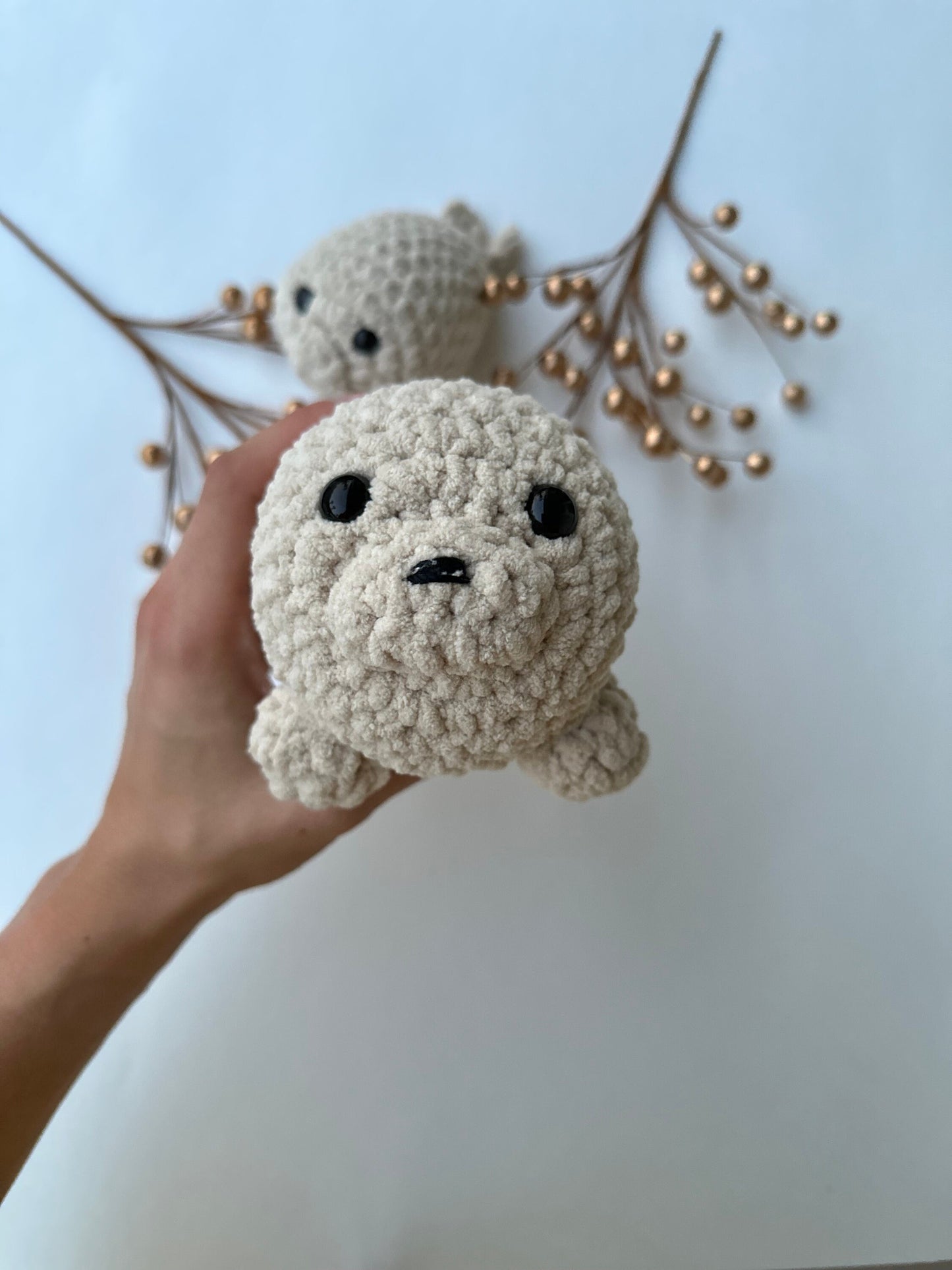 Seal Family